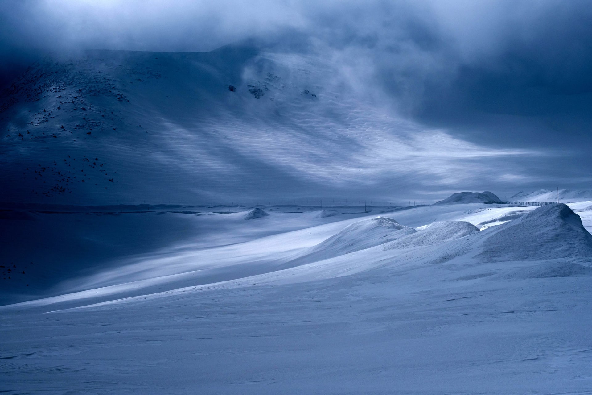 FUJIFILM X-Pro3／XF50mmF2 R WR／50mm／絞り優先AE（1/6,000秒・F8・-0.3EV）／ISO 160／WB：オート	https://ganref.jp/m/chi-29co/portfolios/photo_detail/4636442