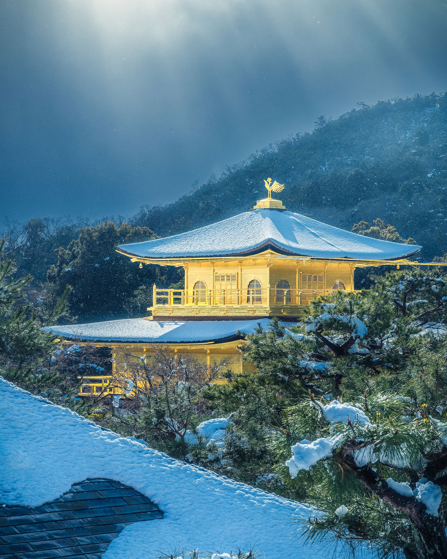 Z 7II／NIKKOR Z 24-70mm f/4 S／70mm／絞り優先AE（1/1,250秒・F16・-2EV）／ISO 100／WB：オート	https://ganref.jp/m/yoichi0222/portfolios/photo_detail/5062985