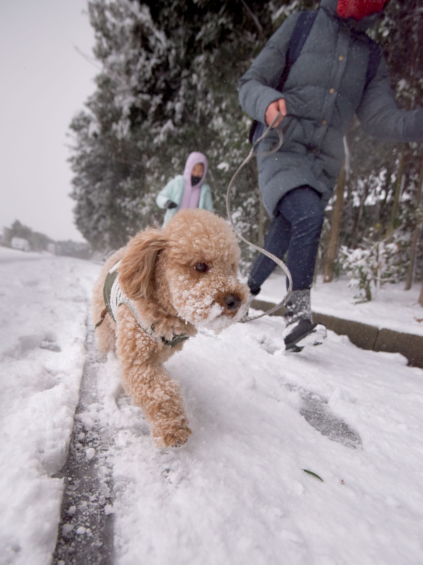 D810／AF-S NIKKOR 16-35mm f/4G ED VR／17mm／絞り優先AE（1/5,000秒・F4・±0EV）／ISO 1000／WB：オート	https://ganref.jp/m/ikeikecyan/portfolios/photo_detail/2612784