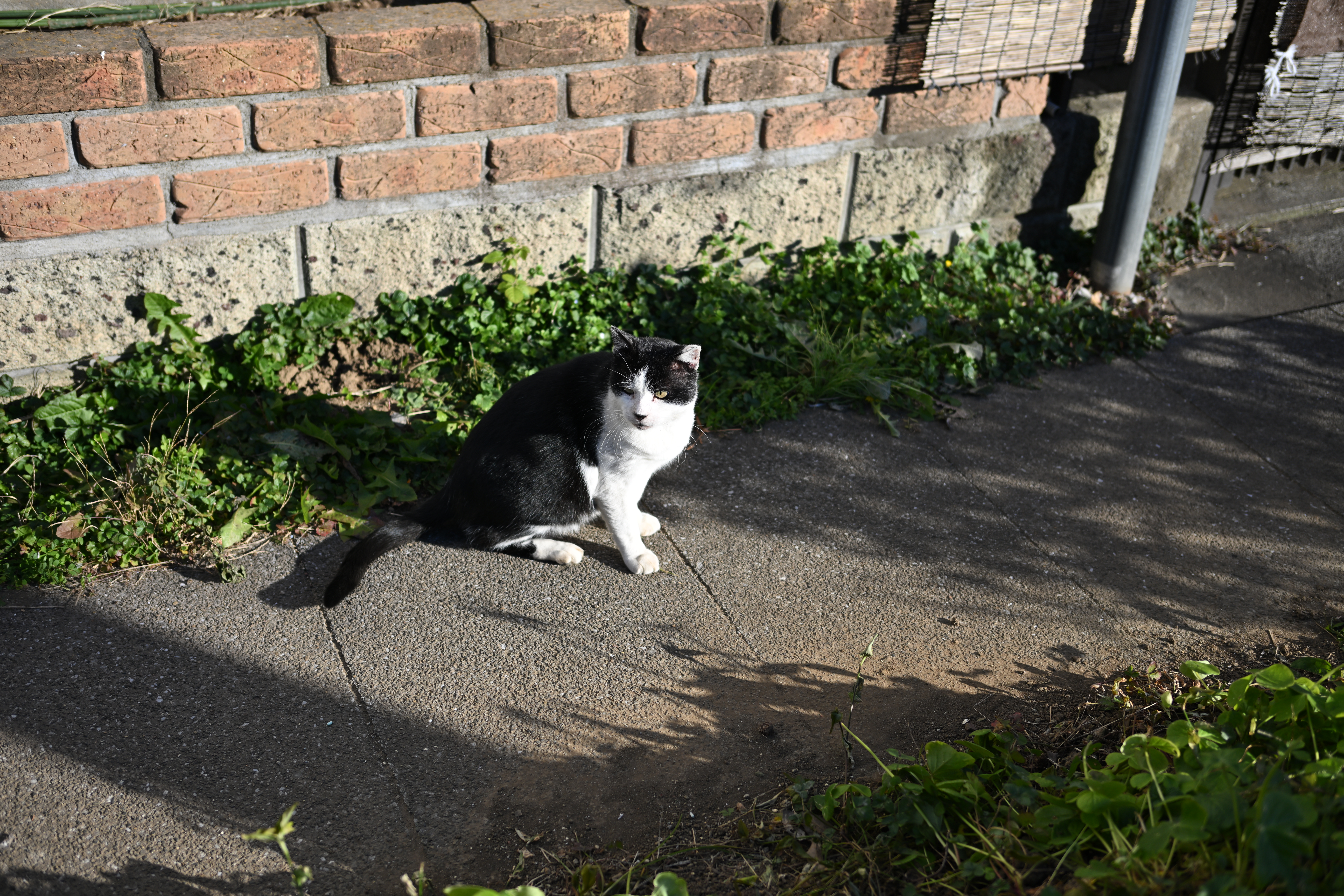 Z 8／NIKKOR Z 40mm f/2／絞り優先AE（1/1,600秒、F2.8、＋0.3EV）／ISO 100