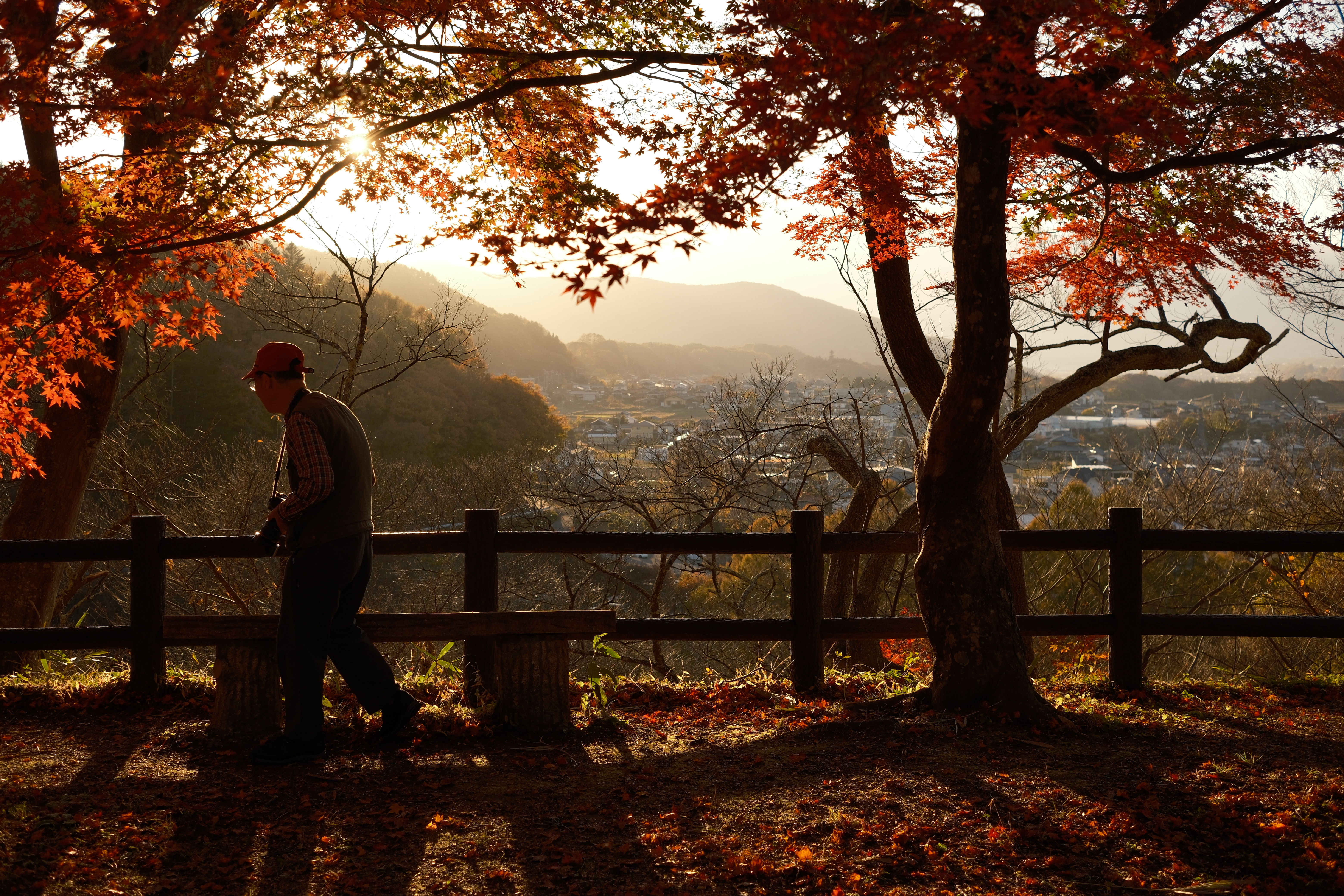 X-H2S／XF27mmF2.8 R WR／絞り優先AE（1/1,000秒、F4.0、−0.7EV）／ISO 400