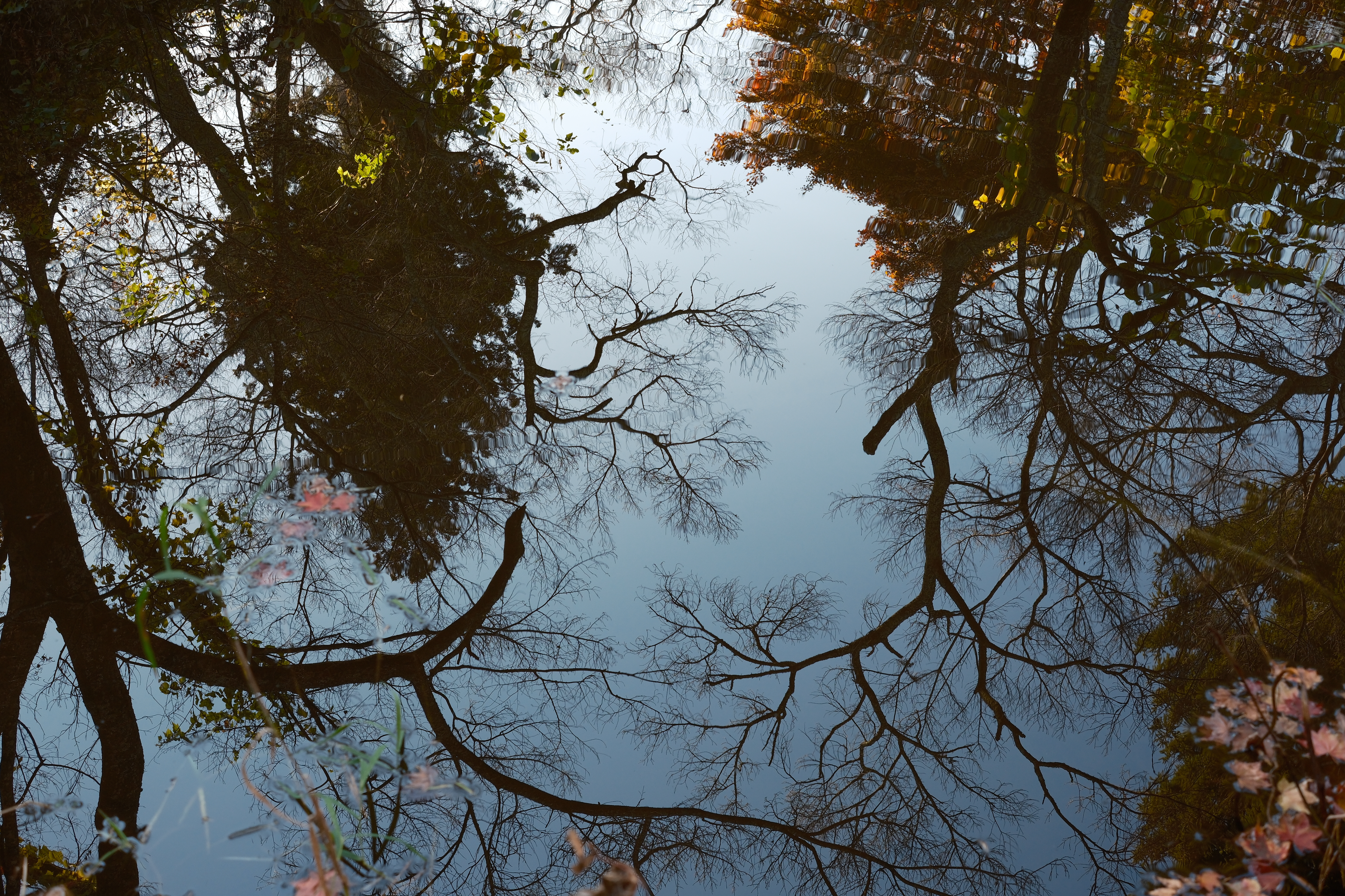 X-H2S／XF27mmF2.8 R WR／絞り優先AE（1/40秒、F5.6、±0.0EV）／ISO 400