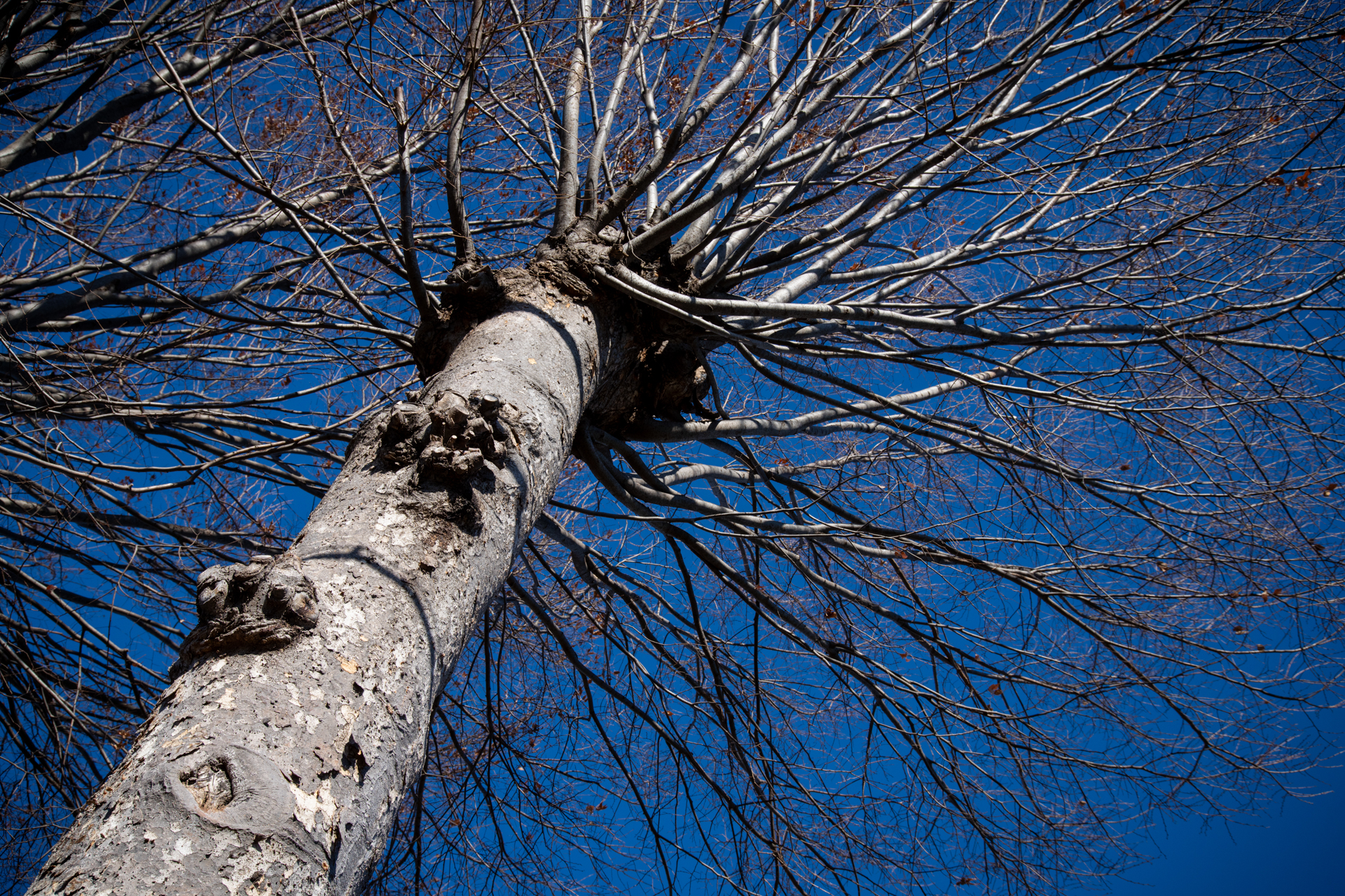 画面四隅がわずかに乱れますが、実用上は問題になりません。合焦点はシャープで全体にコントラスト高く、品格のある描写です<br>α7CR／24-105mm F4 DG OS HSM／プログラムAE（45mm・F10・1/500秒・-0.3EV）／ISO 400