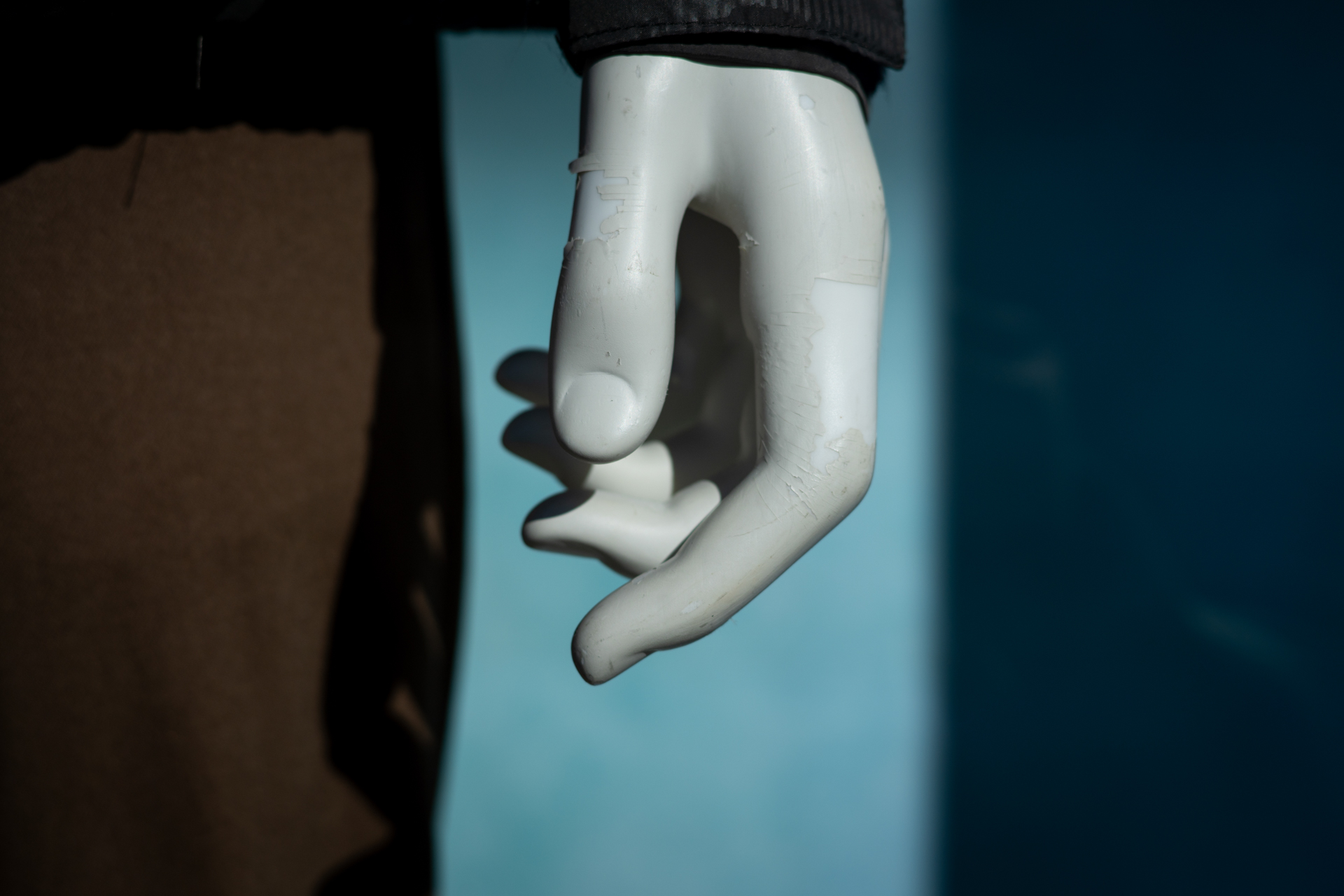 最短撮影距離0.5mというのは素晴らしい仕様です。F2.8と明るさ抑えめのため余裕あるのでしょうか。シャープネスとボケのバランスがとれています<br>α7CR／85mm F2.8 SAM／絞り優先AE（F4・1/4,000秒・-1EV）／ISO 100