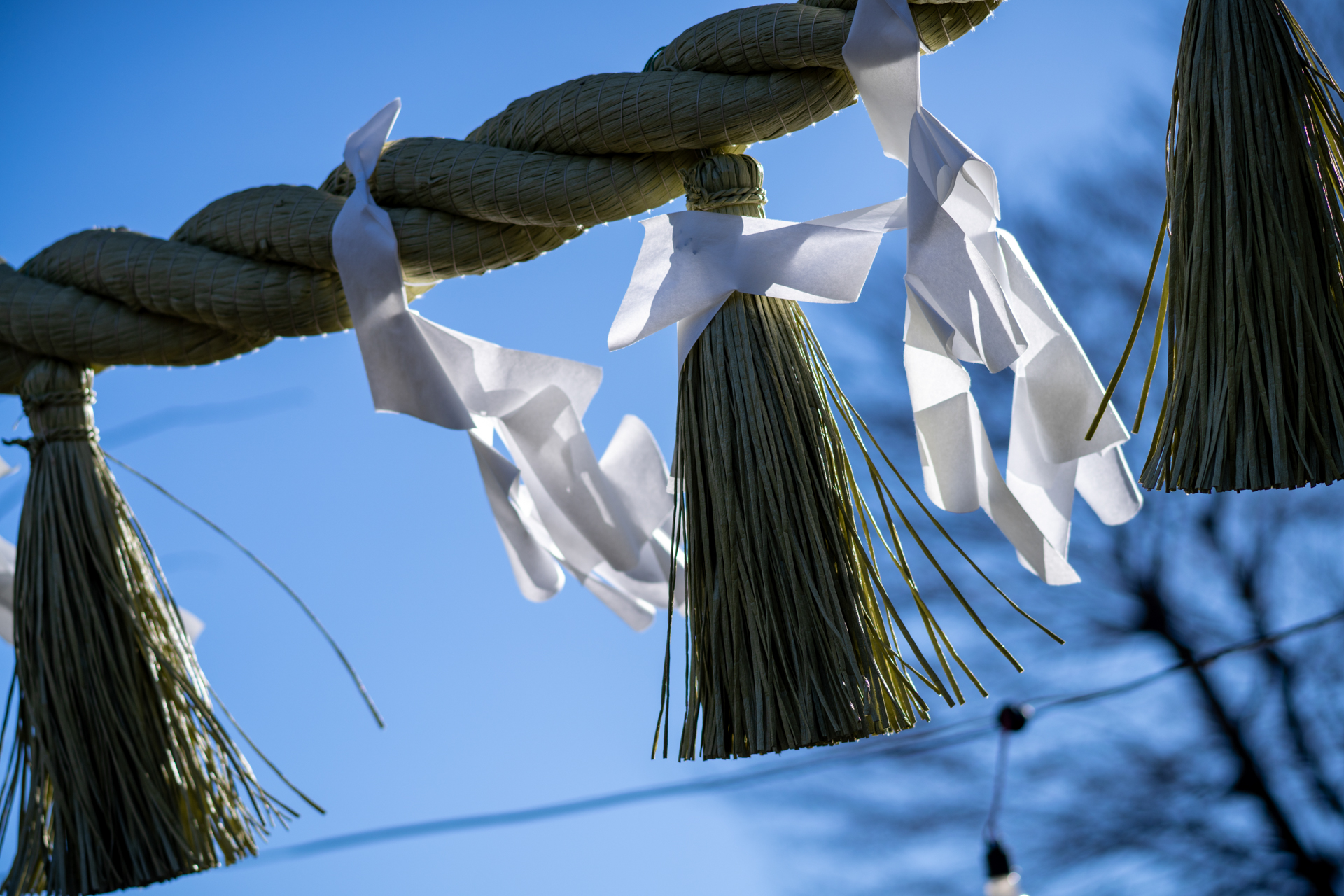 中望遠スナップって、中平卓馬を思い出しますけど、35mmレンズばかりを使用している筆者としてはたまには、85mm縛りも悪くないと思いました。素直なボケですね<br>α7CR／85mm F2.8 SAM／絞り優先AE（F3.5・1/1,600秒・±0EV）／ISO 100