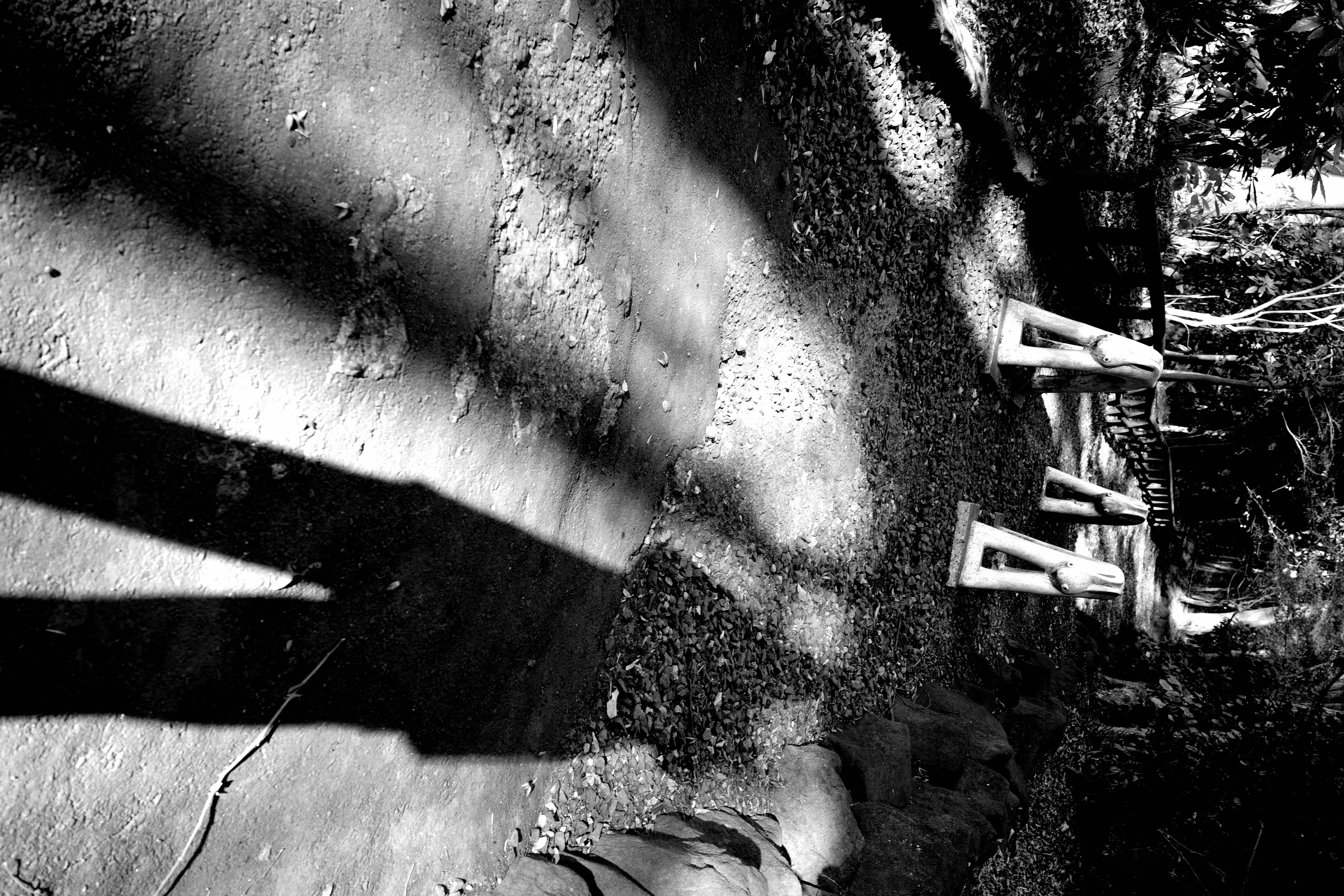 GR IIIx／絞り優先AE（1/160秒、F4.0、±0.0EV）／ISO 200