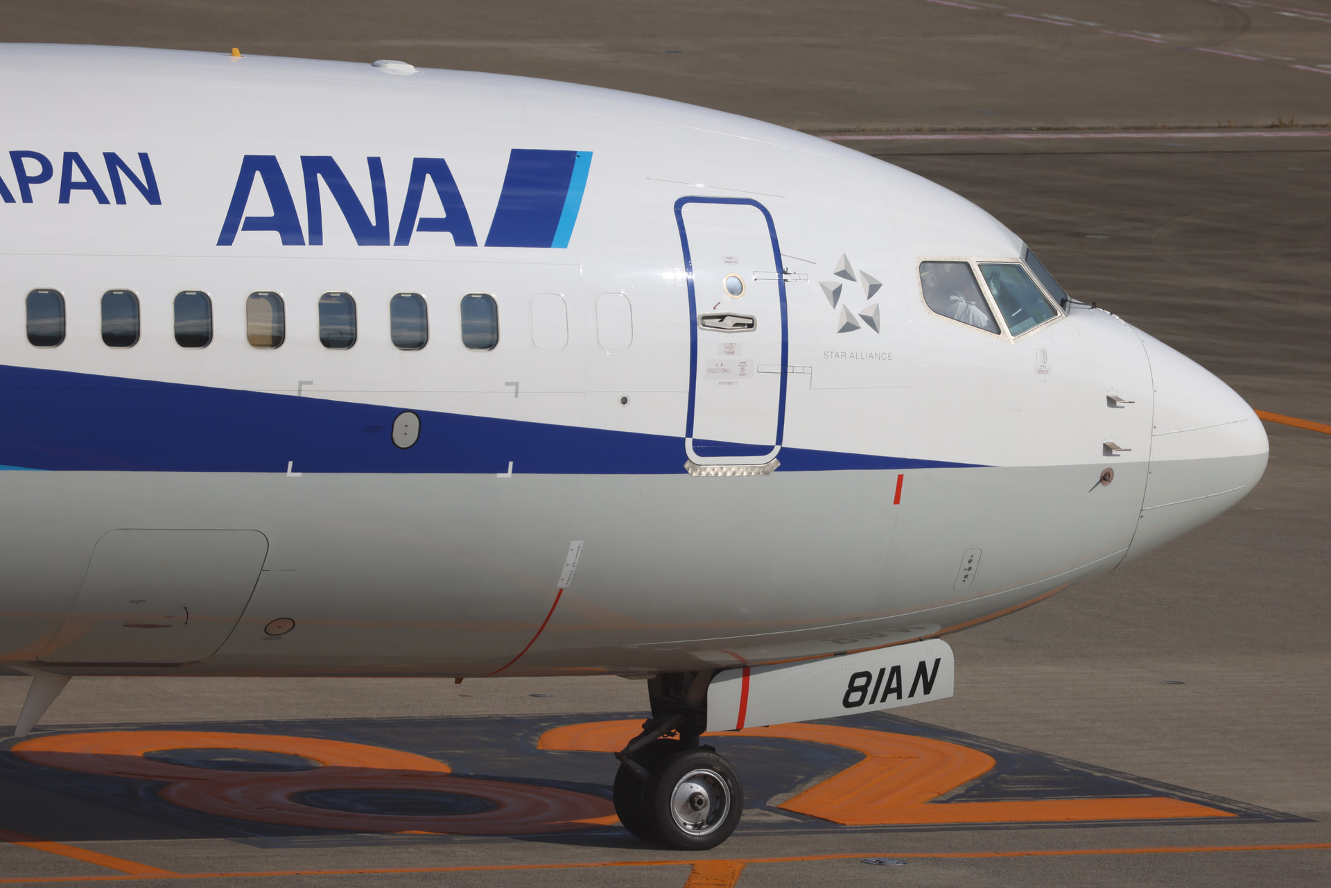 EOS R5／RF200-800mm F6.3-9 IS USM／800mm／マニュアル露出（1/640秒、F9）／ISO 100