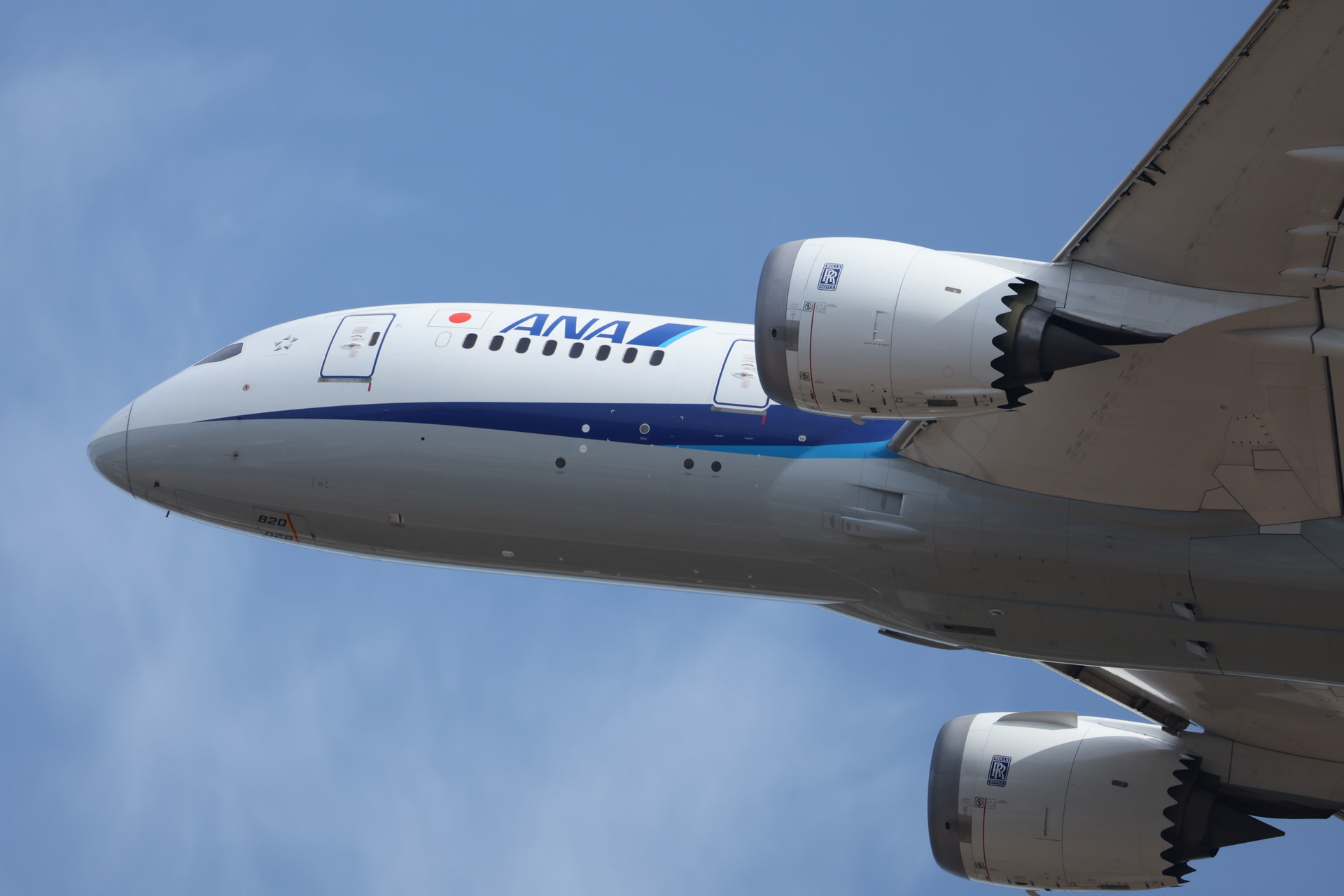 EOS R3／RF200-800mm F6.3-9 IS USM／800mm／マニュアル露出（1/2,000秒、F9）／ISO 800