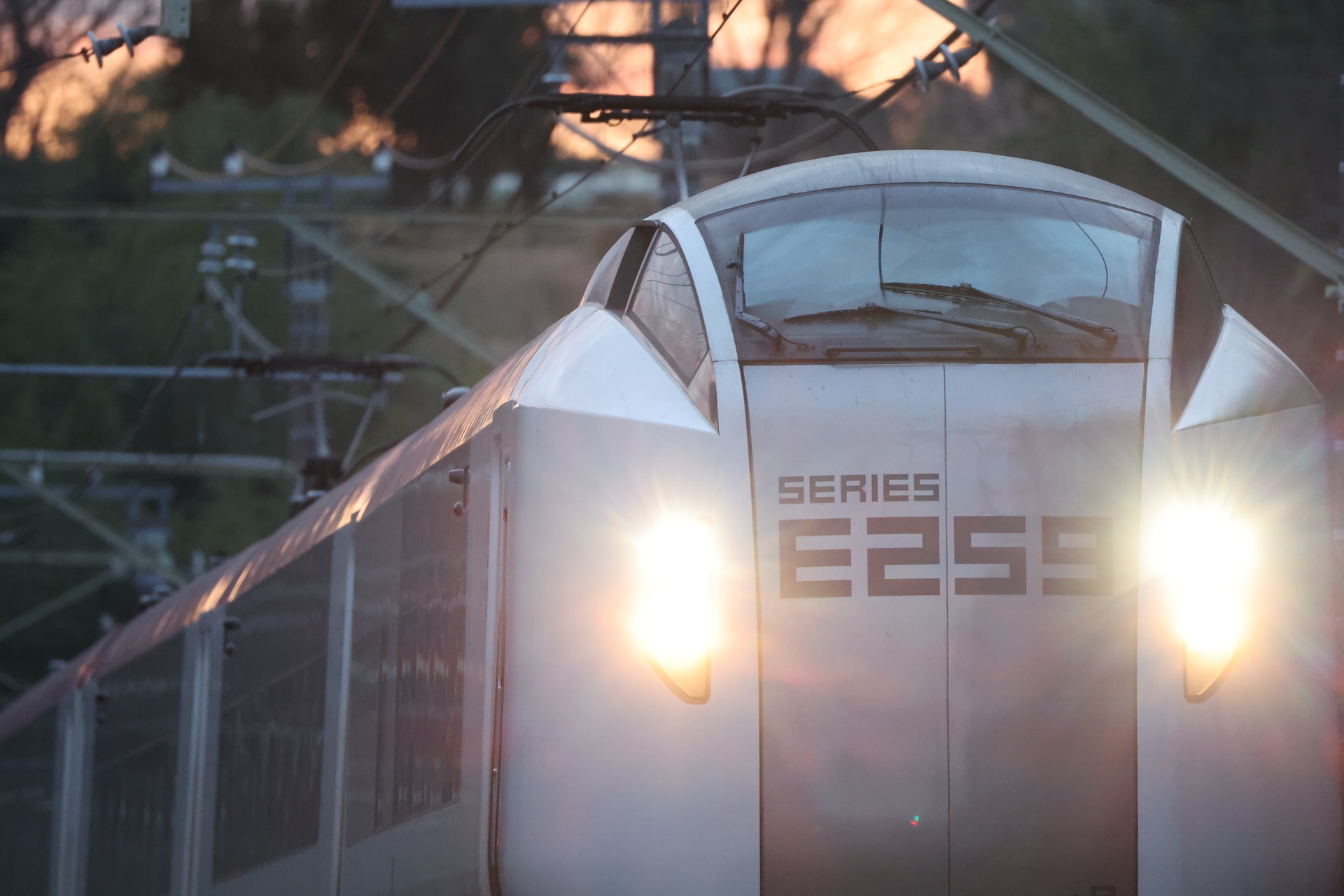 EOS R3／RF200-800mm F6.3-9 IS USM／800mm／マニュアル露出（1/200秒、F9）／ISO 12800