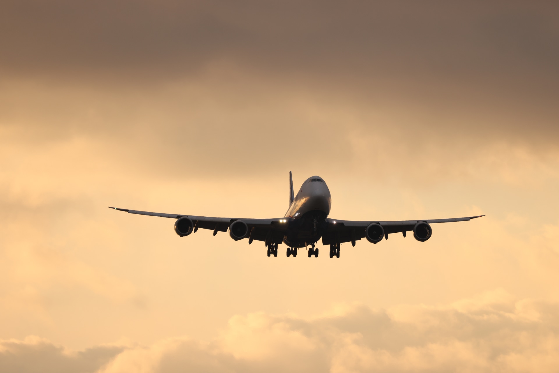 EOS R5／RF200-800mm F6.3-9 IS USM／800mm／マニュアル露出（1/500秒、F9）／ISO 400