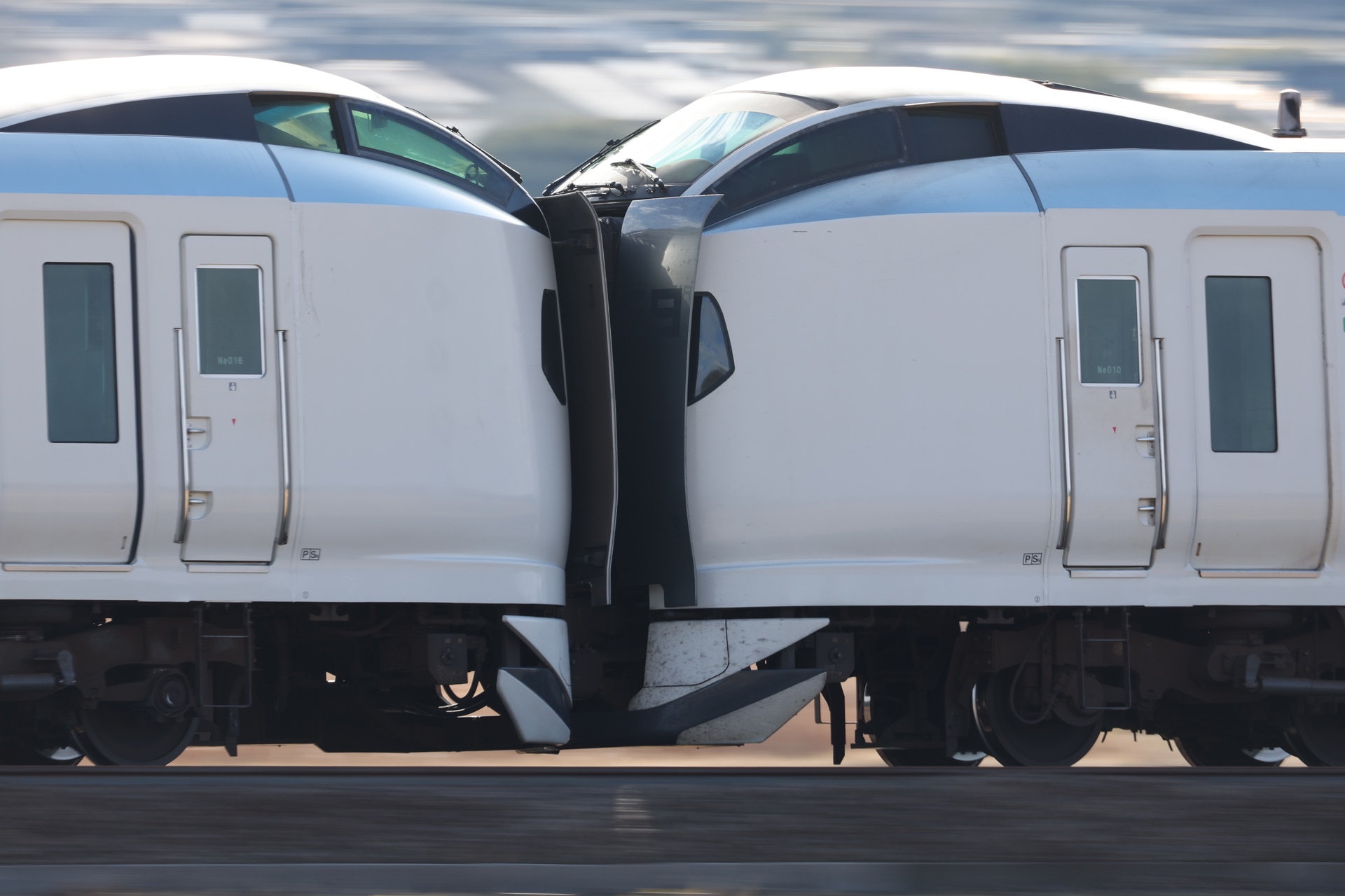 EOS R3／RF200-800mm F6.3-9 IS USM／800mm／マニュアル露出（1/60秒、F11）／ISO 100