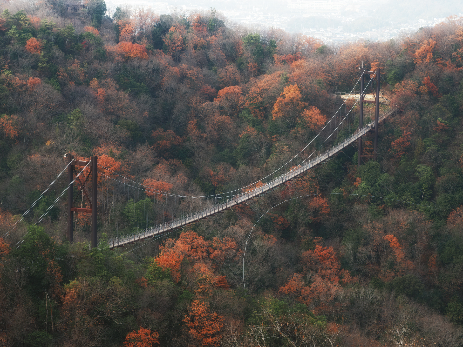 撮影：藤原嘉騎<br><span class="fnt-85">OM-1 Mark II／M.ZUIKO DIGITAL ED 40-150mm F2.8 PRO／56mm（112mm相当）／マニュアル露出（1/30秒、F10）／ISO LOW（100相当）</span>