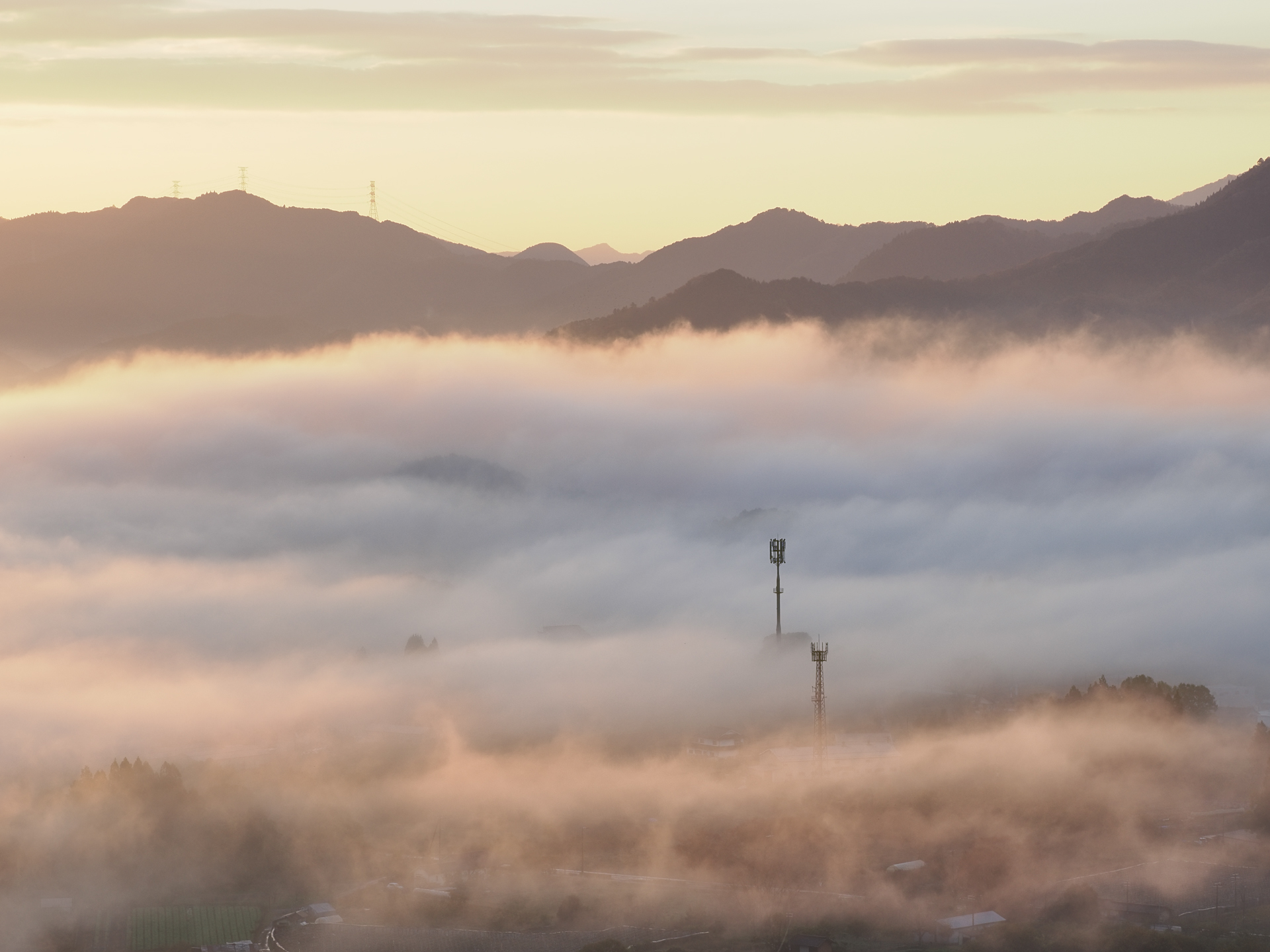 撮影：藤原嘉騎<br><span class="fnt-85">OM-1 Mark II／M.ZUIKO DIGITAL ED 40-150mm F2.8 PRO／56mm（112mm相当）／マニュアル露出（1/80秒、F8.0）／ISO 200</span>