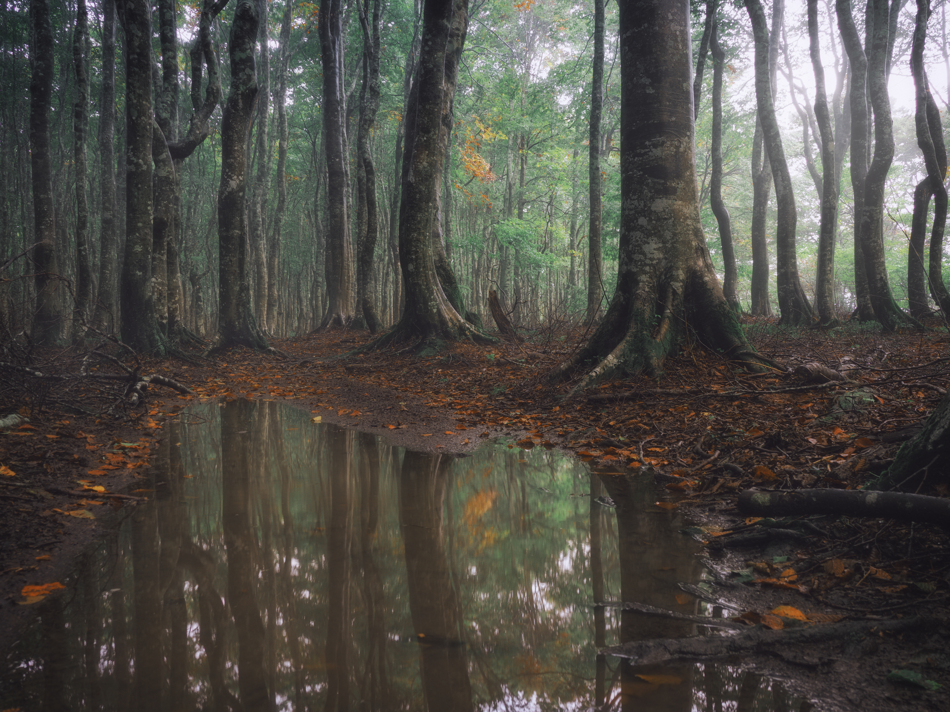 撮影：藤原嘉騎<br><span class="fnt-85">OM-1 Mark II／M.ZUIKO DIGITAL ED 12-100mm F4.0 IS PRO／16mm（32mm相当）／マニュアル露出（1/13秒、F8.0）／ISO 200</span>