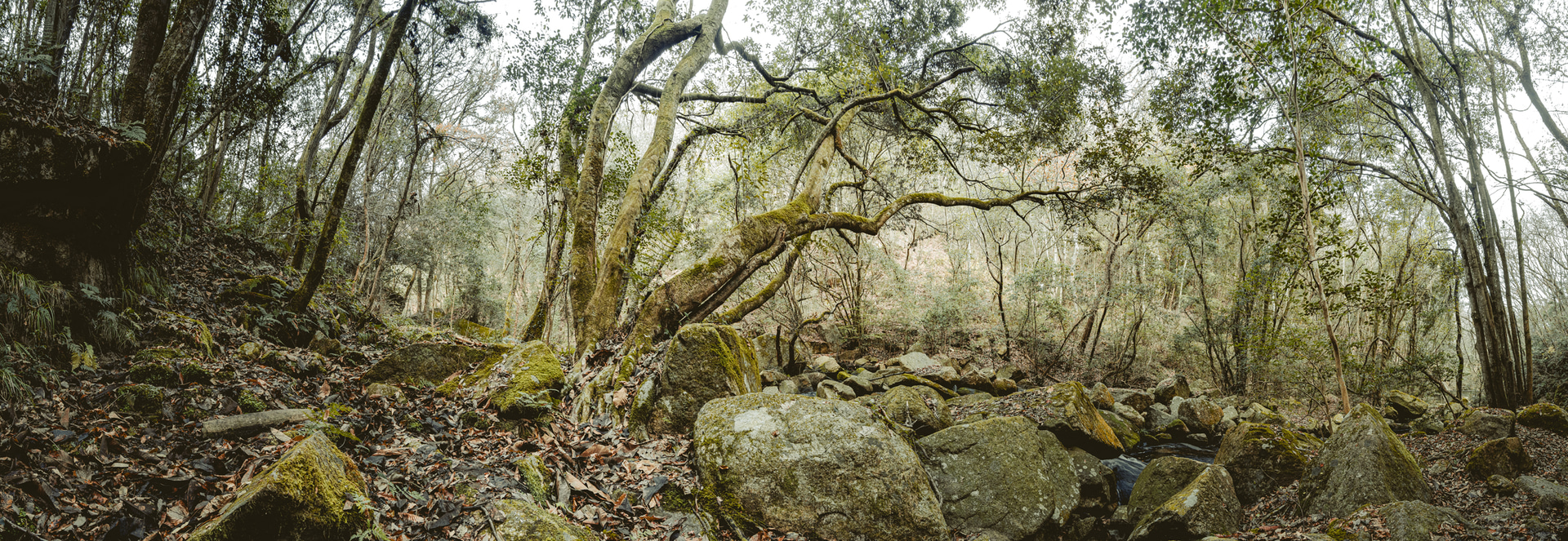 OMDS OM SYSTEM OM-1／M.ZUIKO DIGITAL ED 12-100mm F4.0 IS PRO／12mm（24mm相当）／マニュアル露出（F5.6、1/20秒）／ISO 200／WB：5,300K／19枚を合成