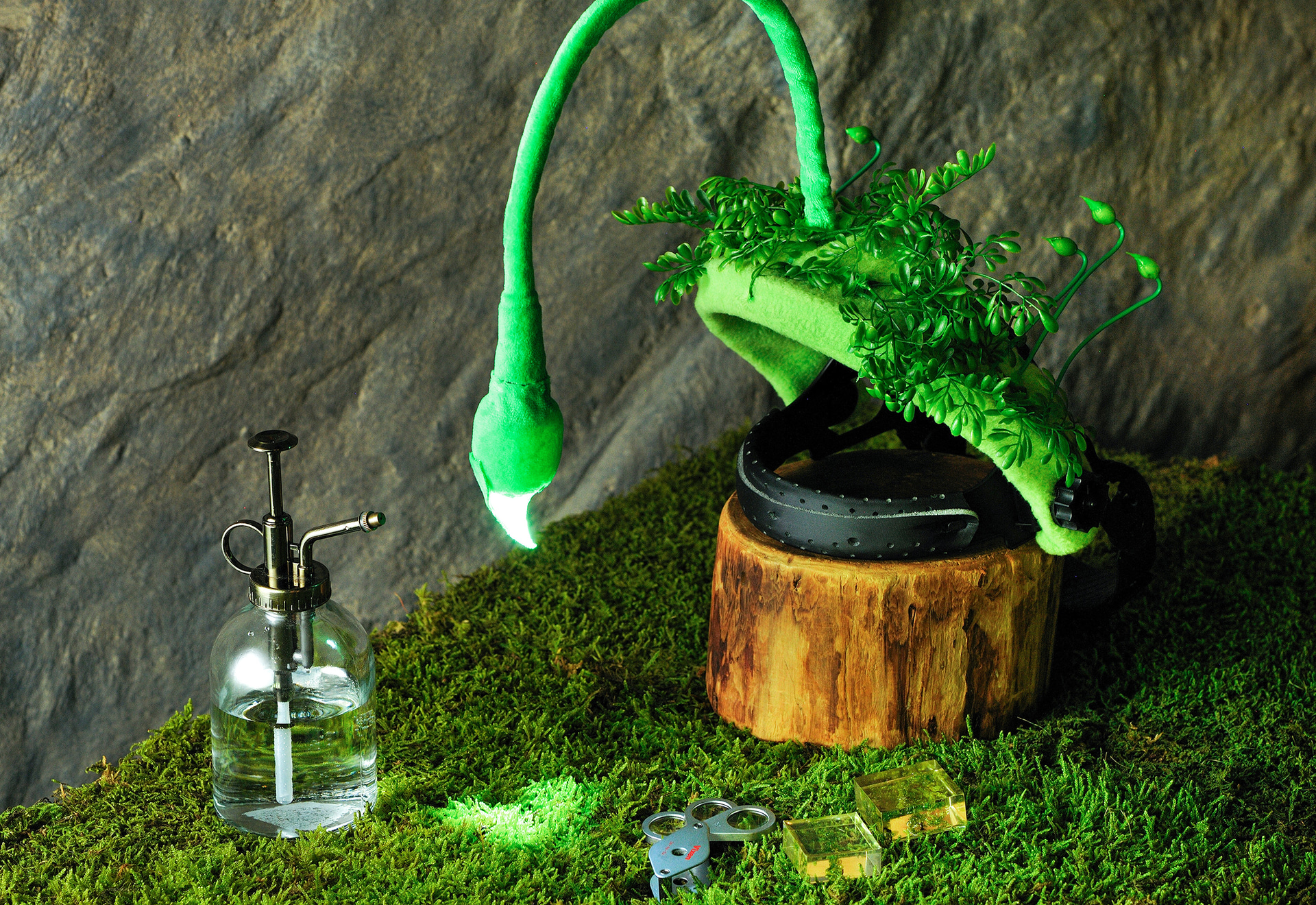 お苔見パーフェクトセット