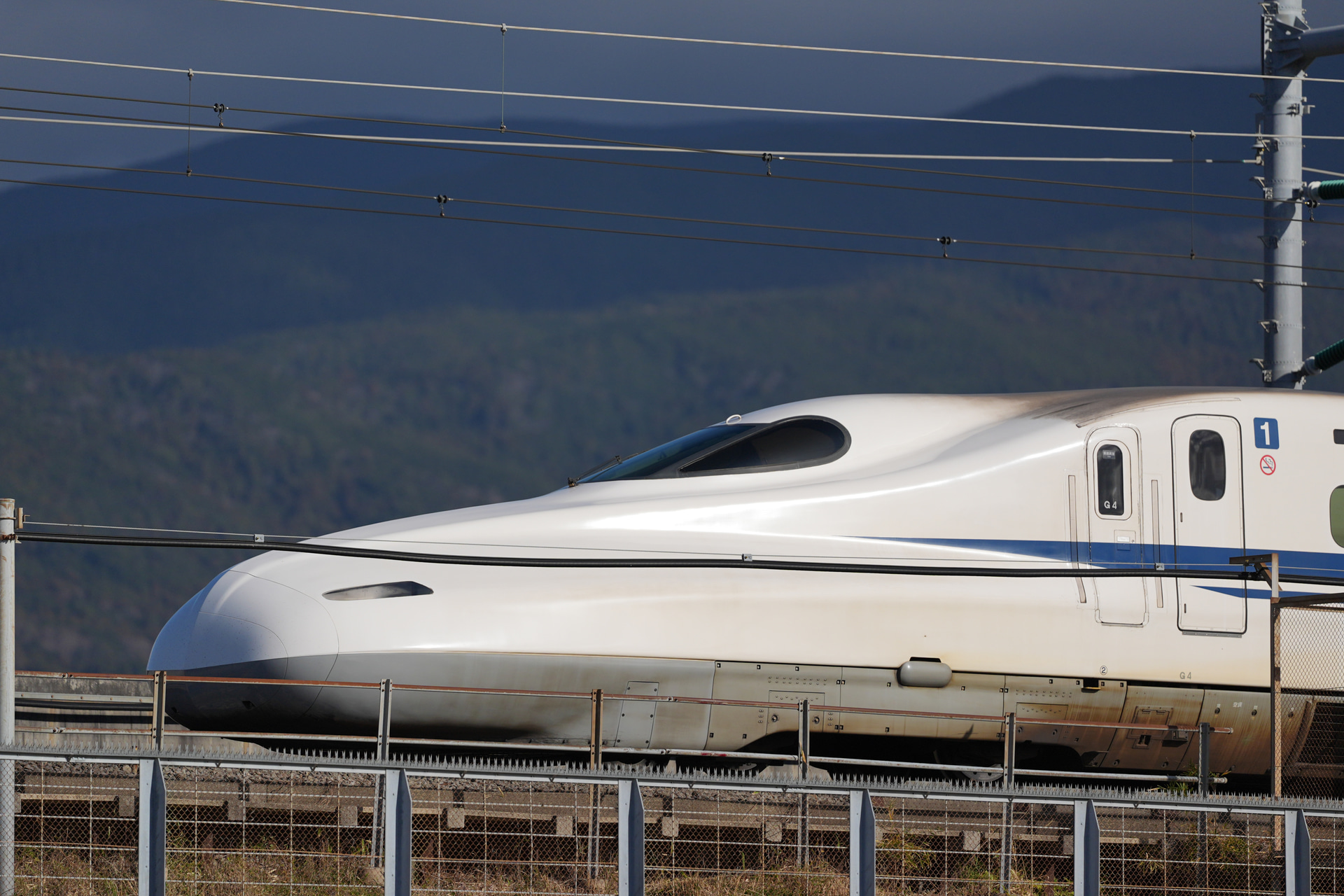 α9 III／FE 300mm F2.8 GM OSS／300mm／マニュアル露出（1/16,000秒、F2.8）／ISO 400／WB：オート