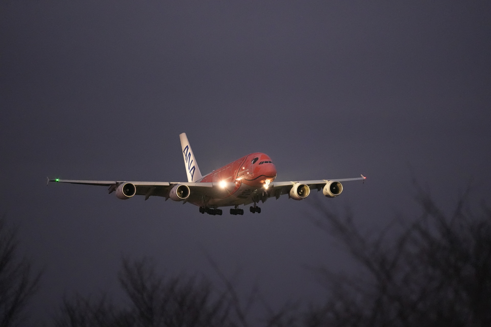 α9 III／FE 300mm F2.8 GM OSS／300mm／マニュアル露出（1/125秒、F2.8）／ISO 12800／WB：日陰