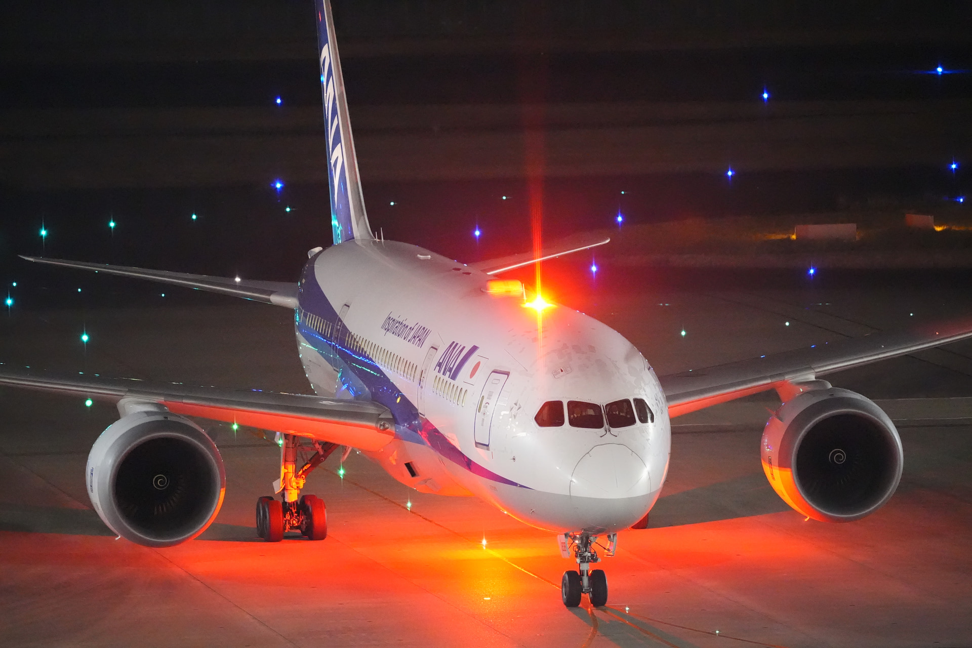 α9 III／FE 300mm F2.8 GM OSS／300mm／マニュアル露出（1/30秒、F2.8）／ISO 25600／WB：オート