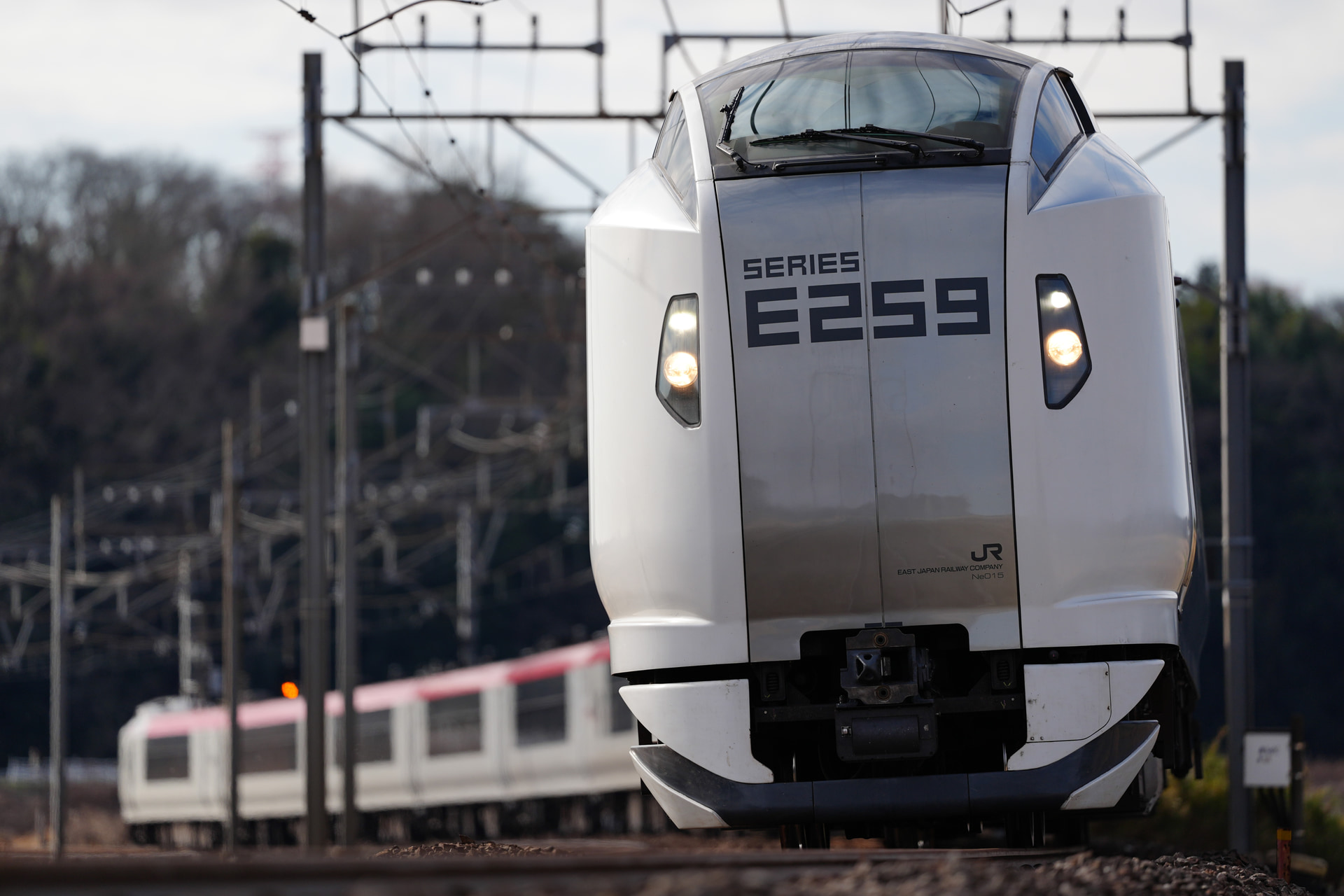 α9 III／FE 300mm F2.8 GM OSS／300mm／マニュアル露出（1/4,000秒、F2.8）／ISO 250／WB：オート