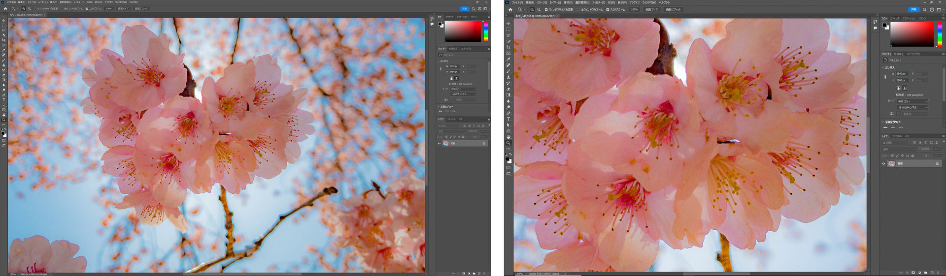 左が4K解像度で写真を等倍表示して編集している状態。右は同じ写真をフルHDで等倍表示して編集中している状態。等倍表示をすると、フルHDモニターは写真の一部を覗くような窮屈な見え方になるが、4K解像度のモニターは周囲を確認しながら作業しやすくなる