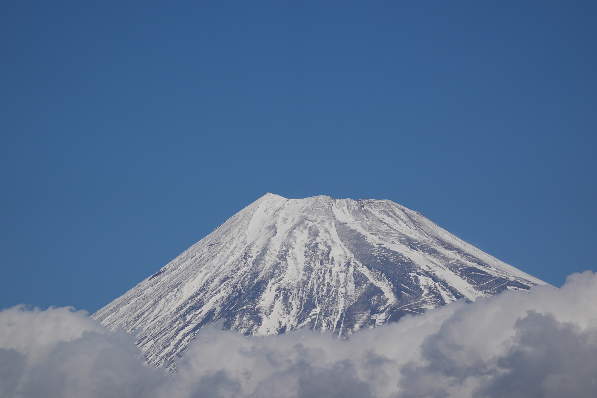 α9 III／FE 300mm F2.8 GM OSS／300mm／マニュアル露出（1/16,000秒、F2.8）／ISO 250／WB：オート
