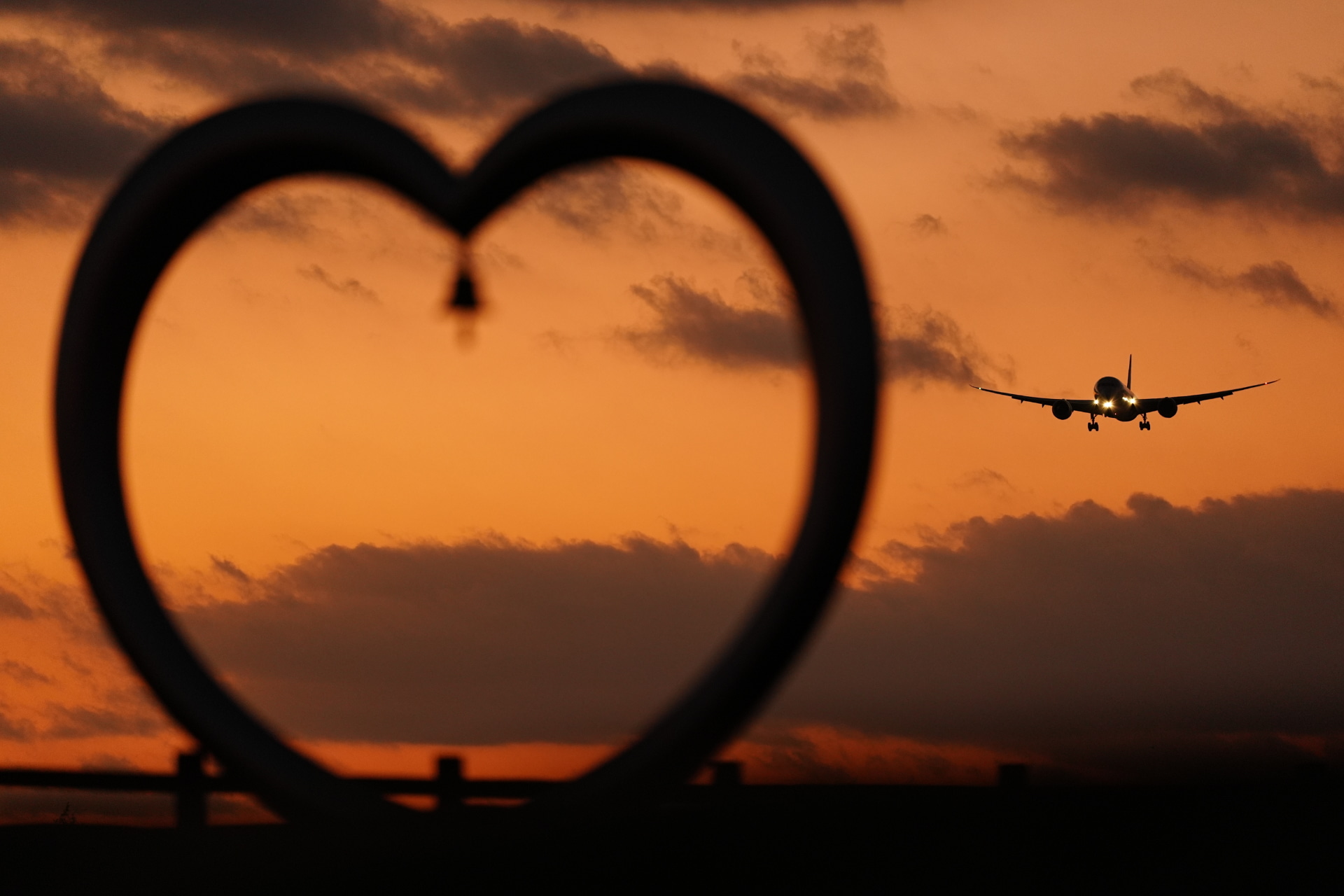 α9 III／FE 300mm F2.8 GM OSS／300mm／マニュアル露出（1/500秒、F2.8）／ISO 1600／WB：日陰