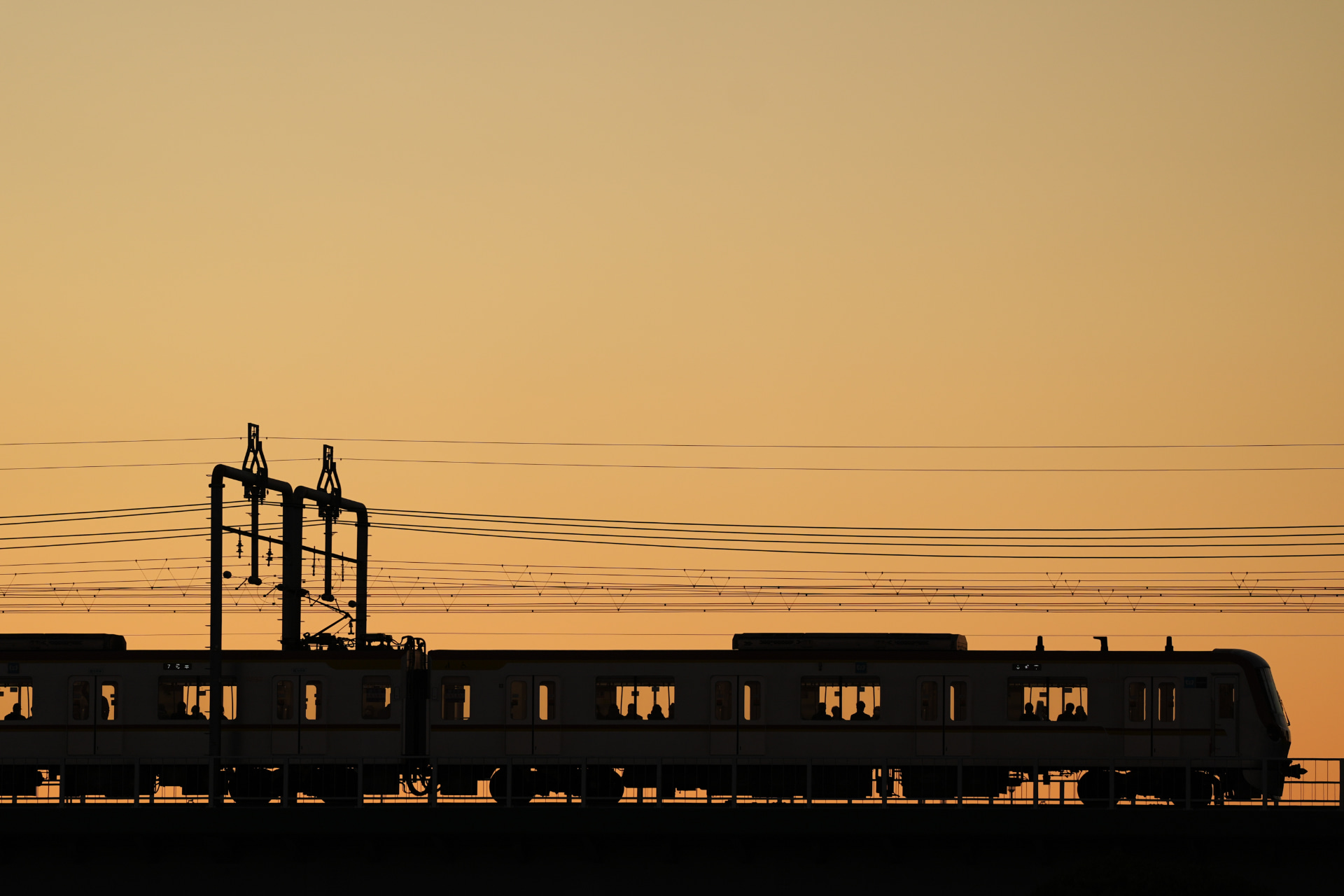 α9 III／FE 300mm F2.8 GM OSS／300mm／シャッター速度優先（1/2,000秒、F3.2）／ISO 250／WB：日陰