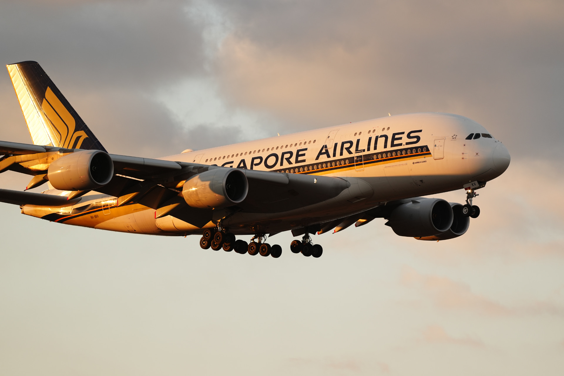 α9 III／FE 300mm F2.8 GM OSS／300mm／マニュアル露出（1/1600秒、F2.8）／ISO 400／WB：日陰