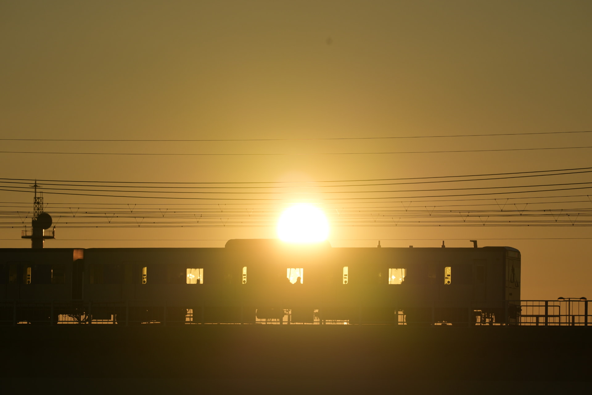 α9 III／FE 300mm F2.8 GM OSS／300mm／シャッター速度優先（1/3,200秒、F8、-0.7EV）／ISO 250／WB：日陰