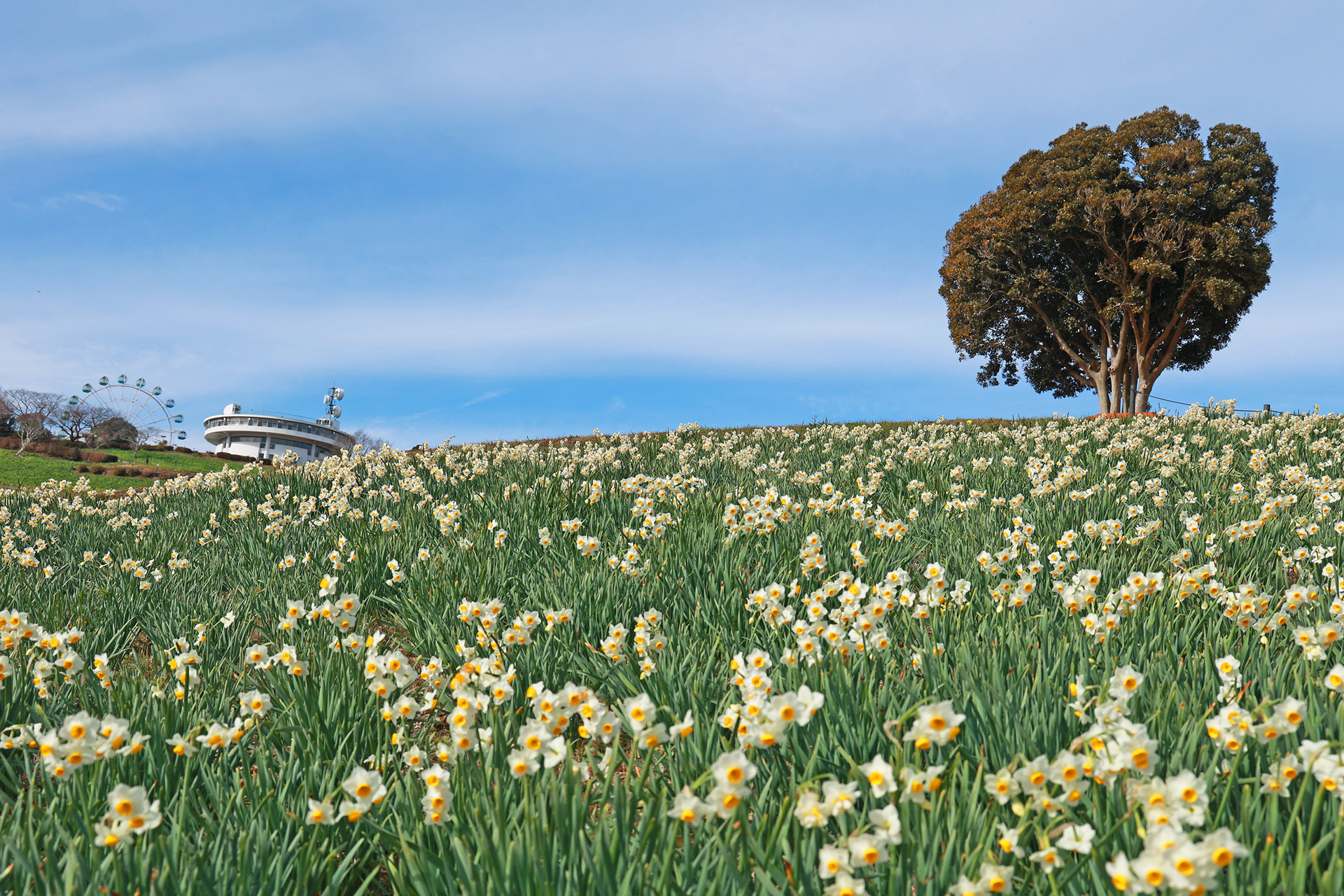 撮影日：2024年1月23日