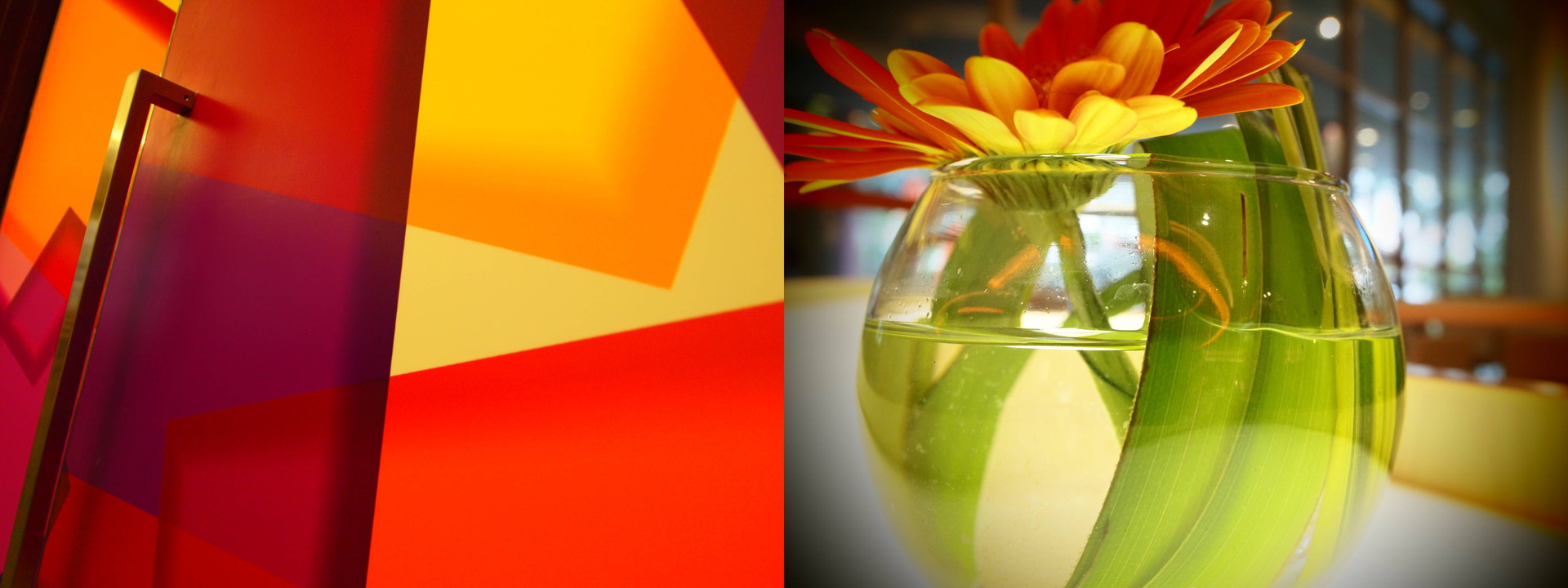 ホテルでサッと何気なく美しいモノを撮ることがルーティンになっている