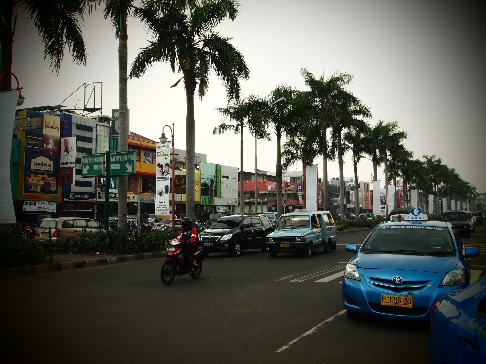 中央分離帯にずらーっと自分のポスターが並んでいてびっくり！