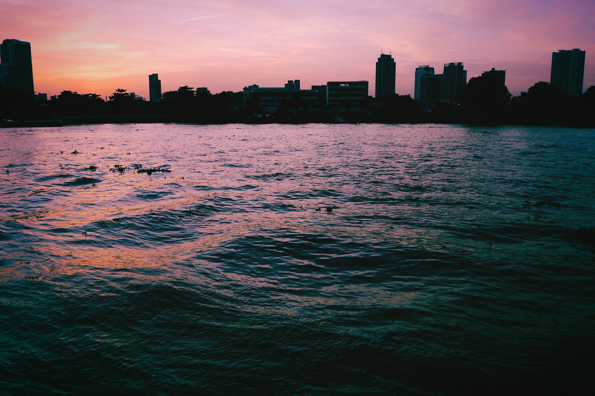 時間帯によって美しく変わる表情にその都度シャッターを切る