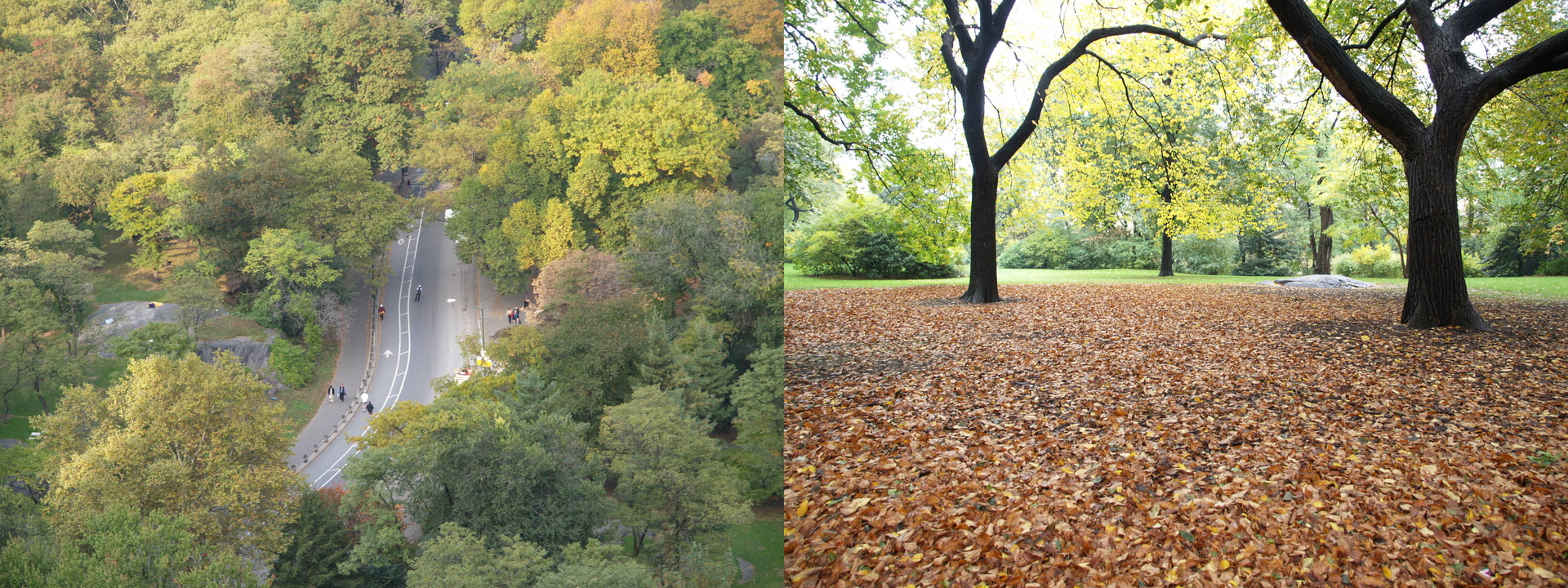 セントラルパークやソーホーで