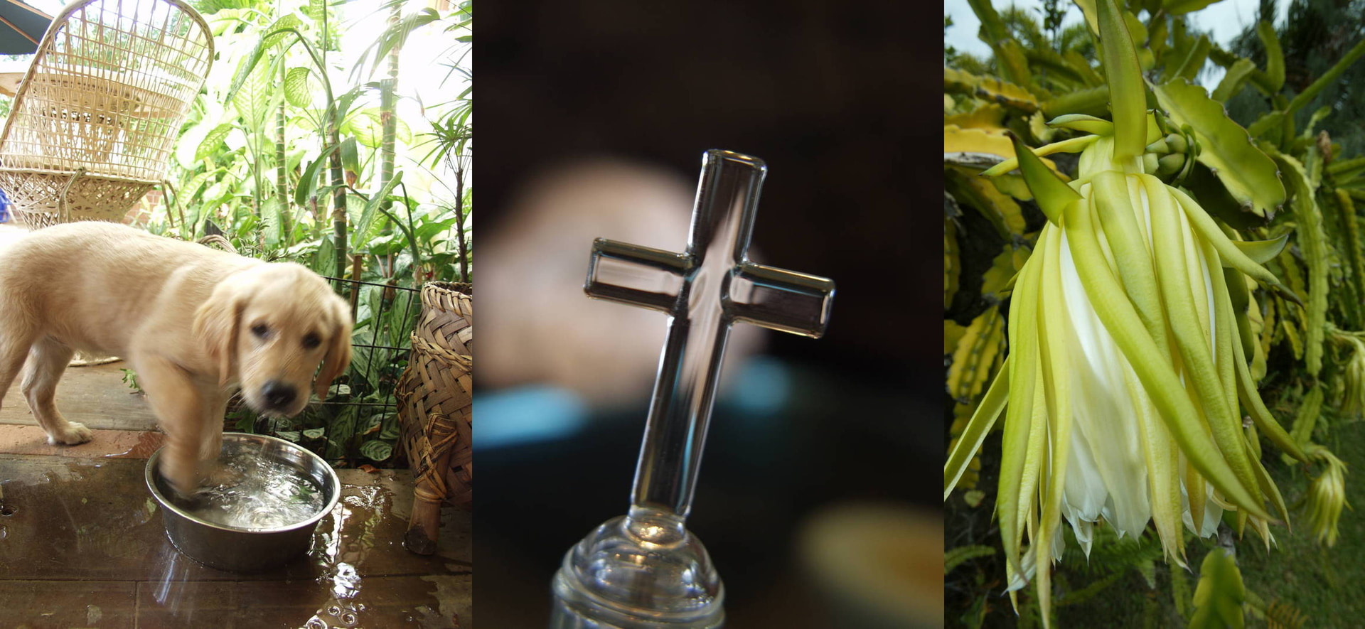 デジタルになって「ちょっと撮ってみよう」が格段に増えた