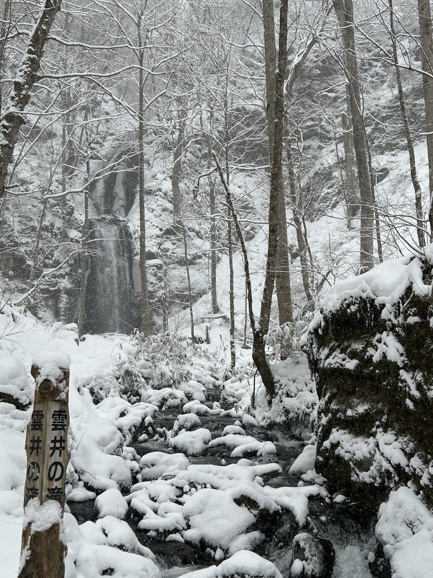 雲井の滝　※1月25日（木）撮影