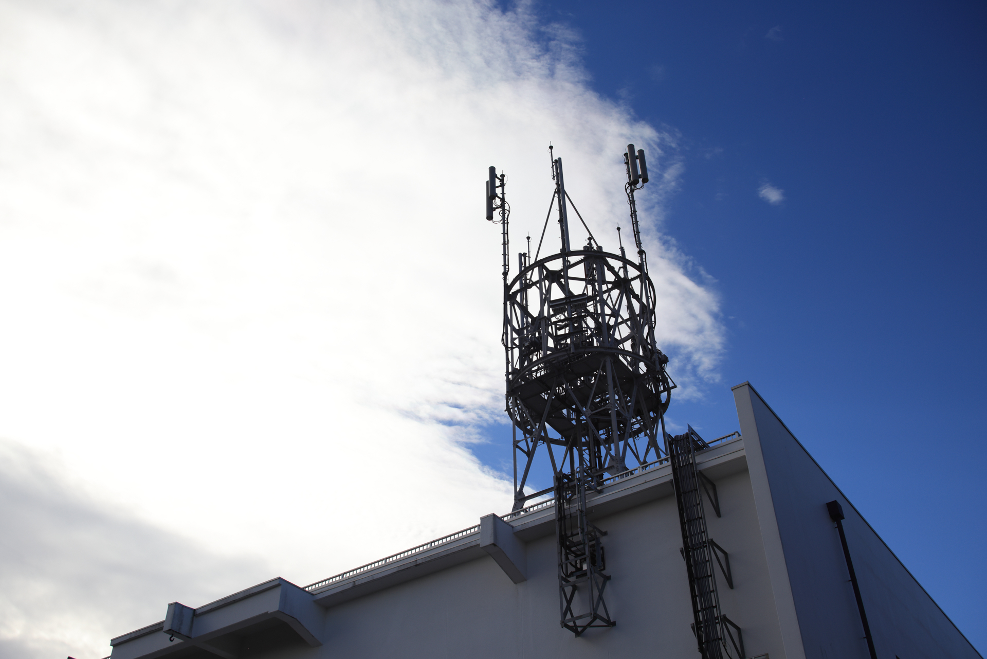 明暗差の大きな条件ですが、フリンジが出るようなこともなく自然で秀逸な描写です。色収差補正も優秀ということですね<br>EOS R5／EF28-80mm F2.8-4L USM／絞り優先AE（34mm・F8・1/2,500秒・±0EV）／ISO 400