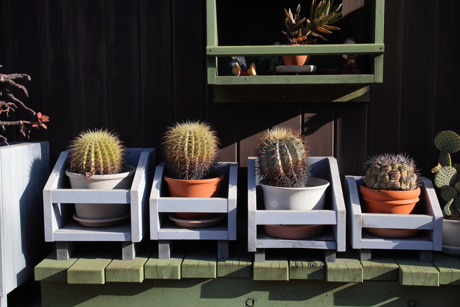 住人の繊細な生活の意識がサボテンの置き方から伝わってきます。画像の平坦性が優秀で、中央から周辺まで均質な画質です<br>EOS R5／EF28-80mm F2.8-4L USM／絞り優先AE（48mm・F10・1/250秒・-0.7EV）／ISO 400