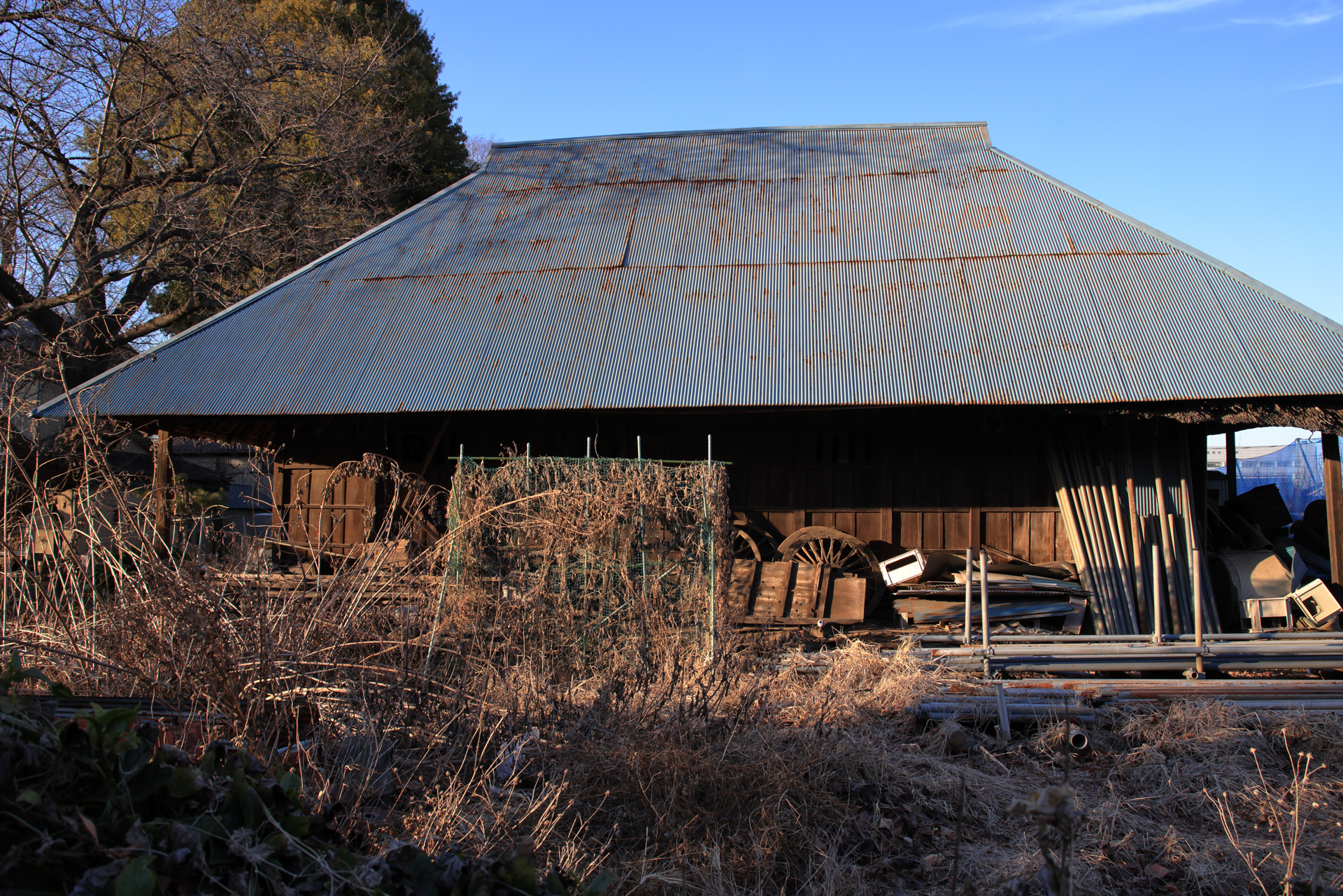高画素機のポテンシャルを生かすには解像性能の高い最新レンズを使えというのは当然の論理ですが、35年前のレンズもけっこうやりますね<br>EOS R5／EF28-80mm F2.8-4L USM／絞り優先AE（28mm・F11・1/250秒・-0.7EV）／ISO 400