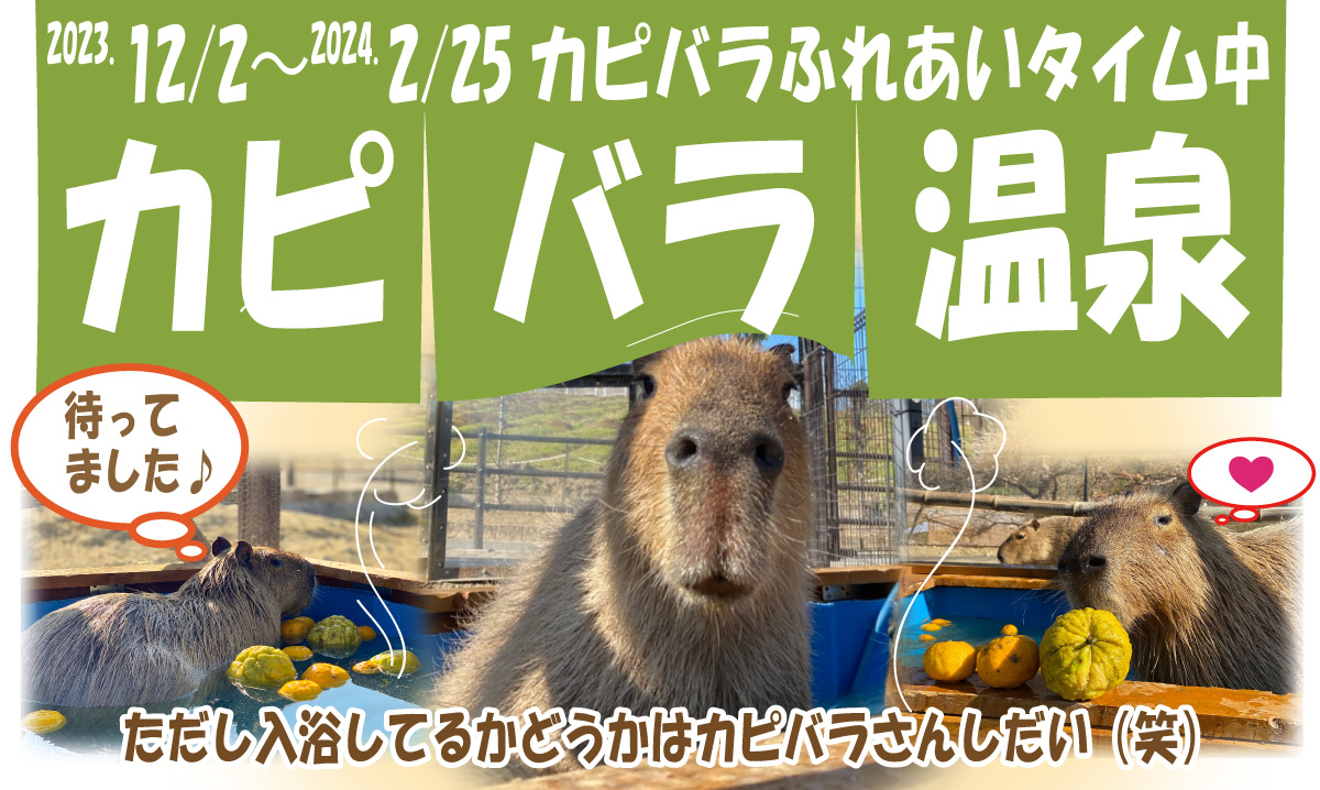 カピバラ温泉