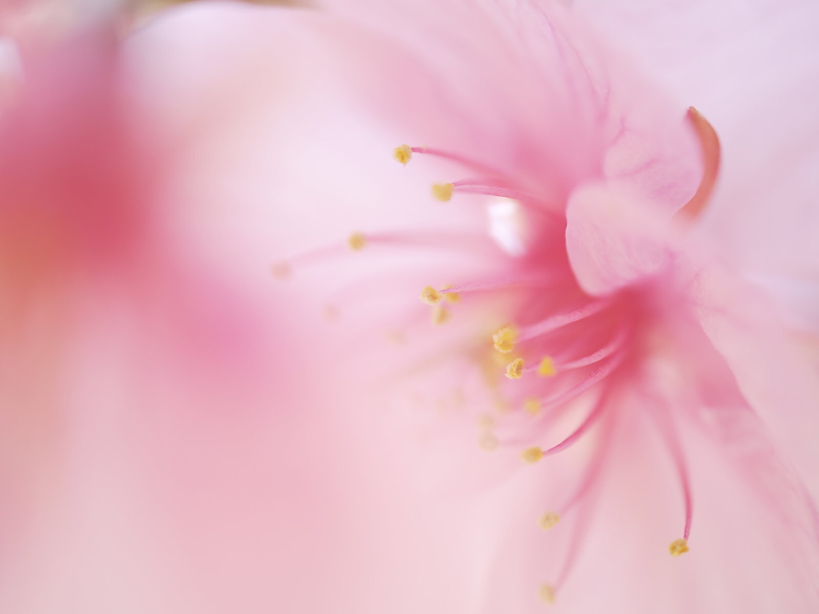 撮影 くにまさひろし