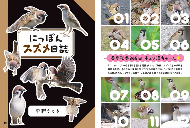 スズメ写真家・中野さとる氏が撮影した10年の記録「にっぽんスズメ日誌