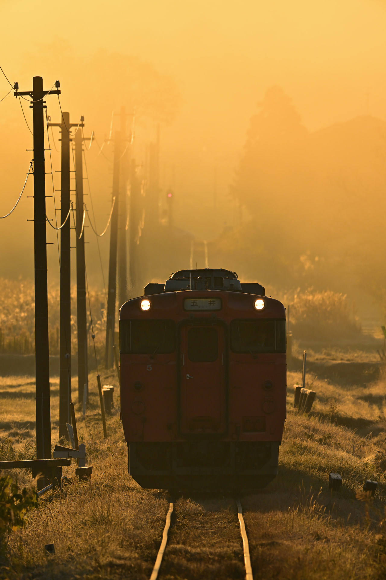 <span class="fnt-85">ニコン Z 8／NIKKOR Z 180-600mm f/5.6-6.3 VR+Z TELECONVERTER TC-1.4x／780mm／マニュアル露出（F11、1/640秒）／ISO 400／WB：曇天／小湊鐵道　上総村上～海士有木</span>