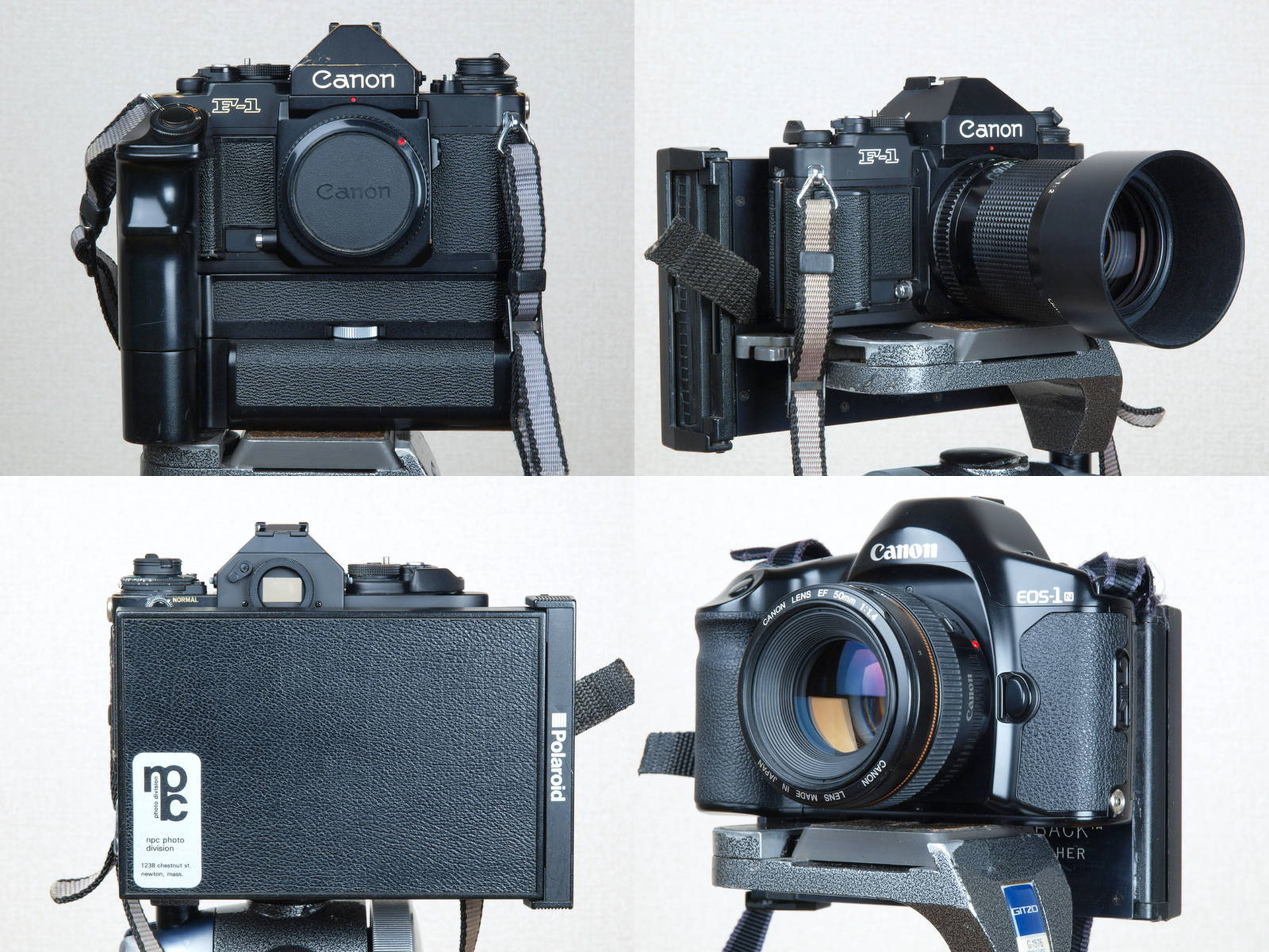 上段：キヤノン New F-1（1981年9月発売） 右下：キヤノン EOS-1N（1994年11月発売）