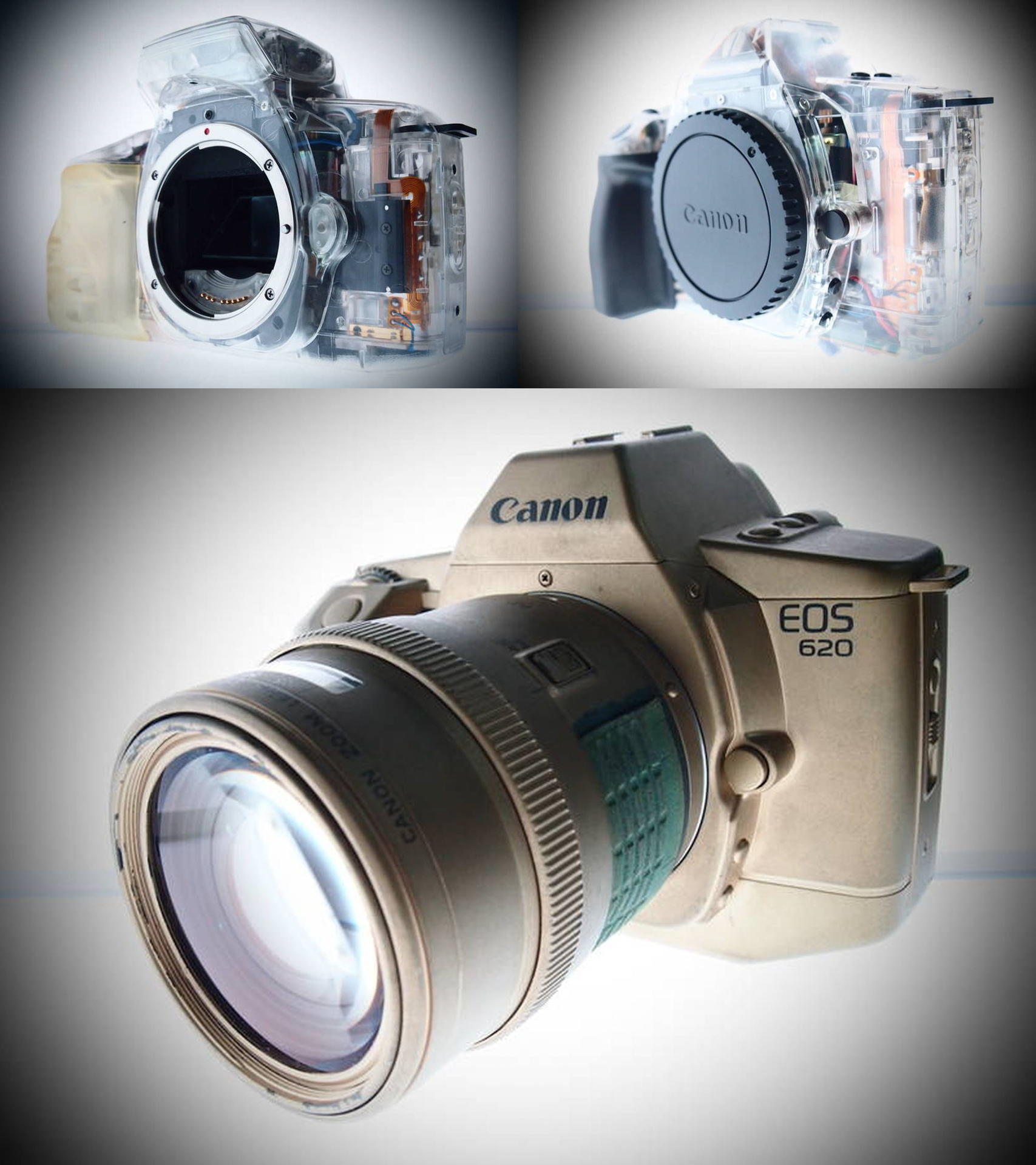 上段：ニューヨークで手に入れたスケルトンのカメラ　下段：キヤノンのロッカーに入っていたカメラをいただいた