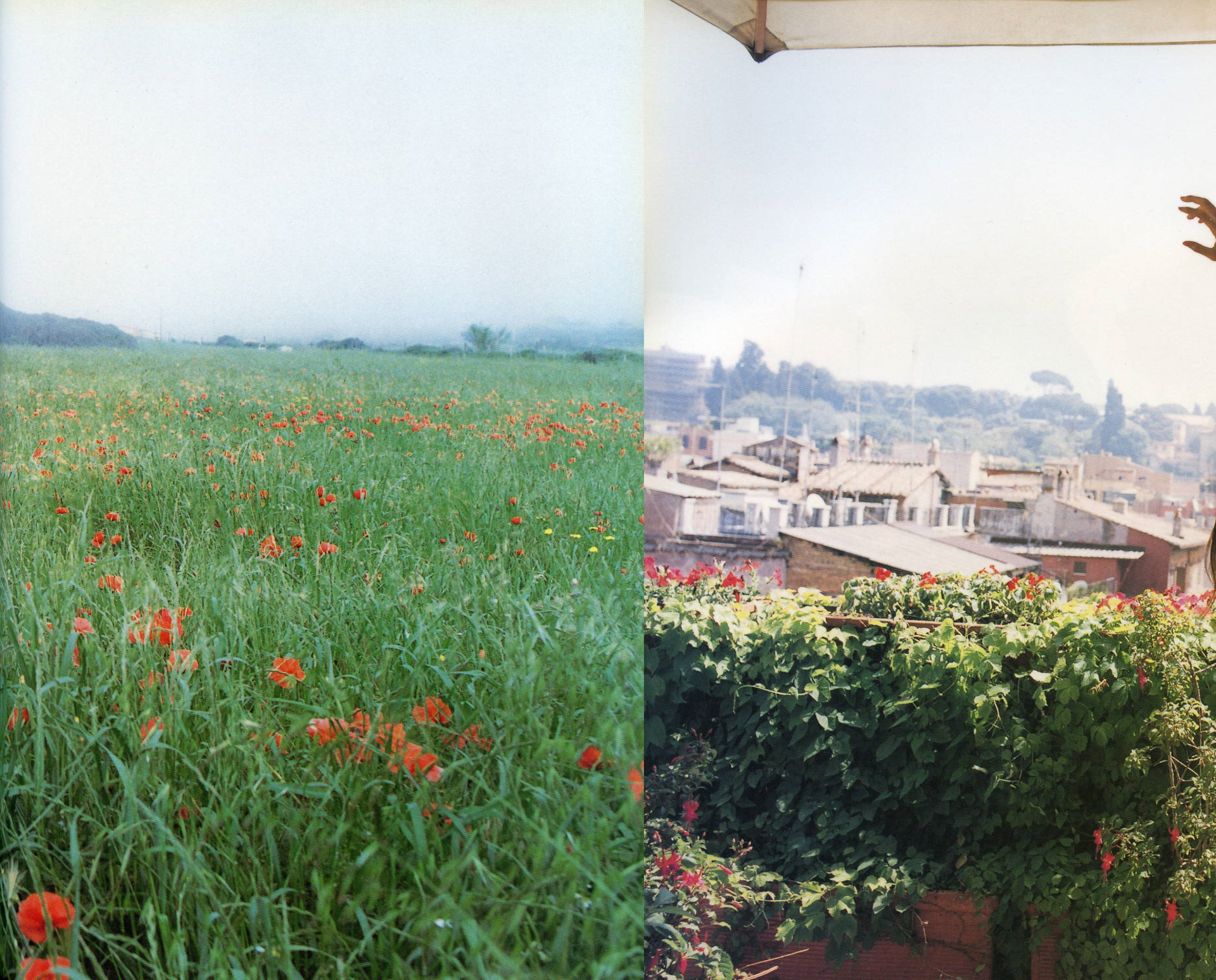 元気なうちに島めぐりをしてみたい