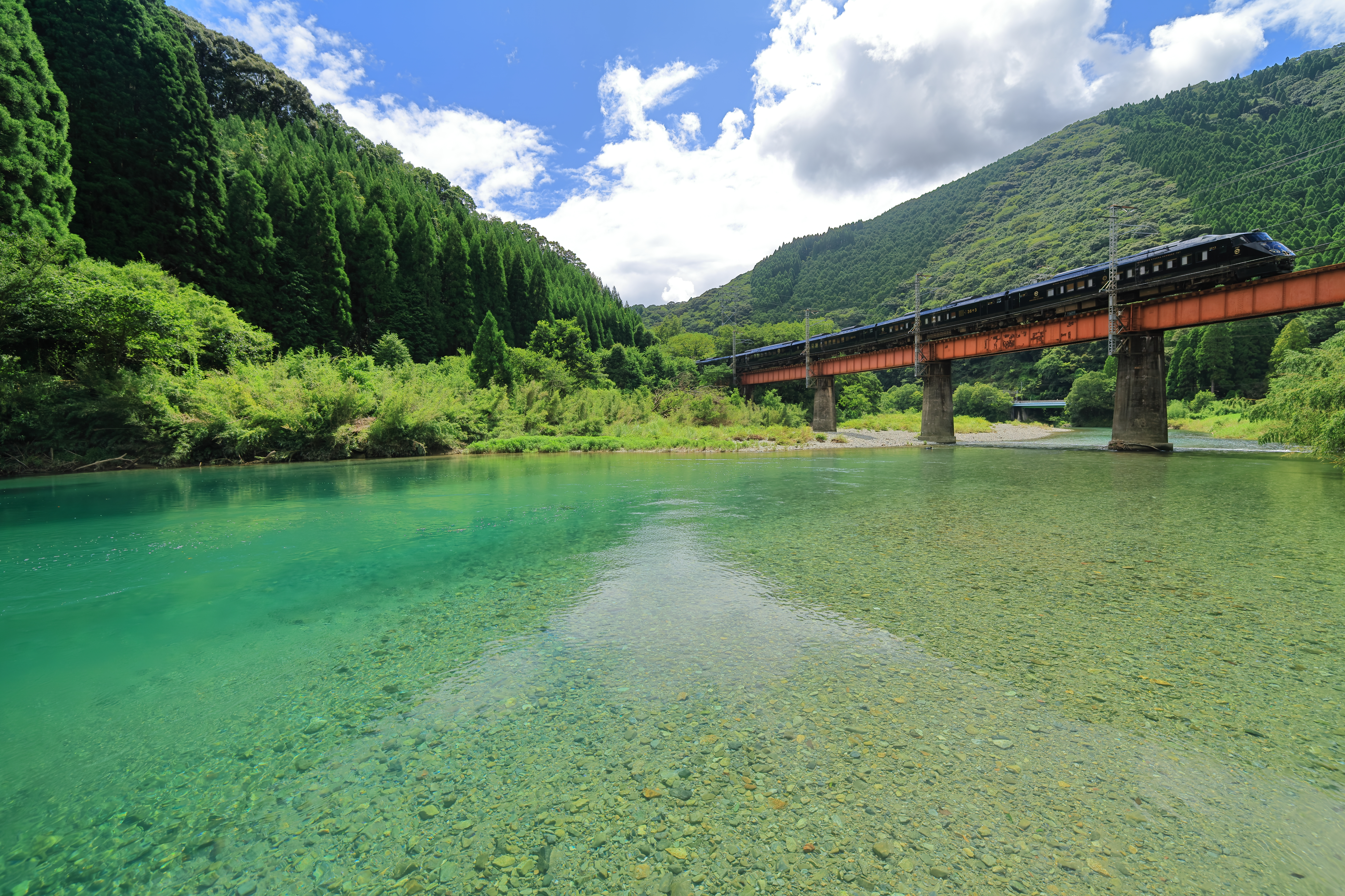 背景の新緑がくっきりと鮮やかに。車体のエッジもシャープで際立っている