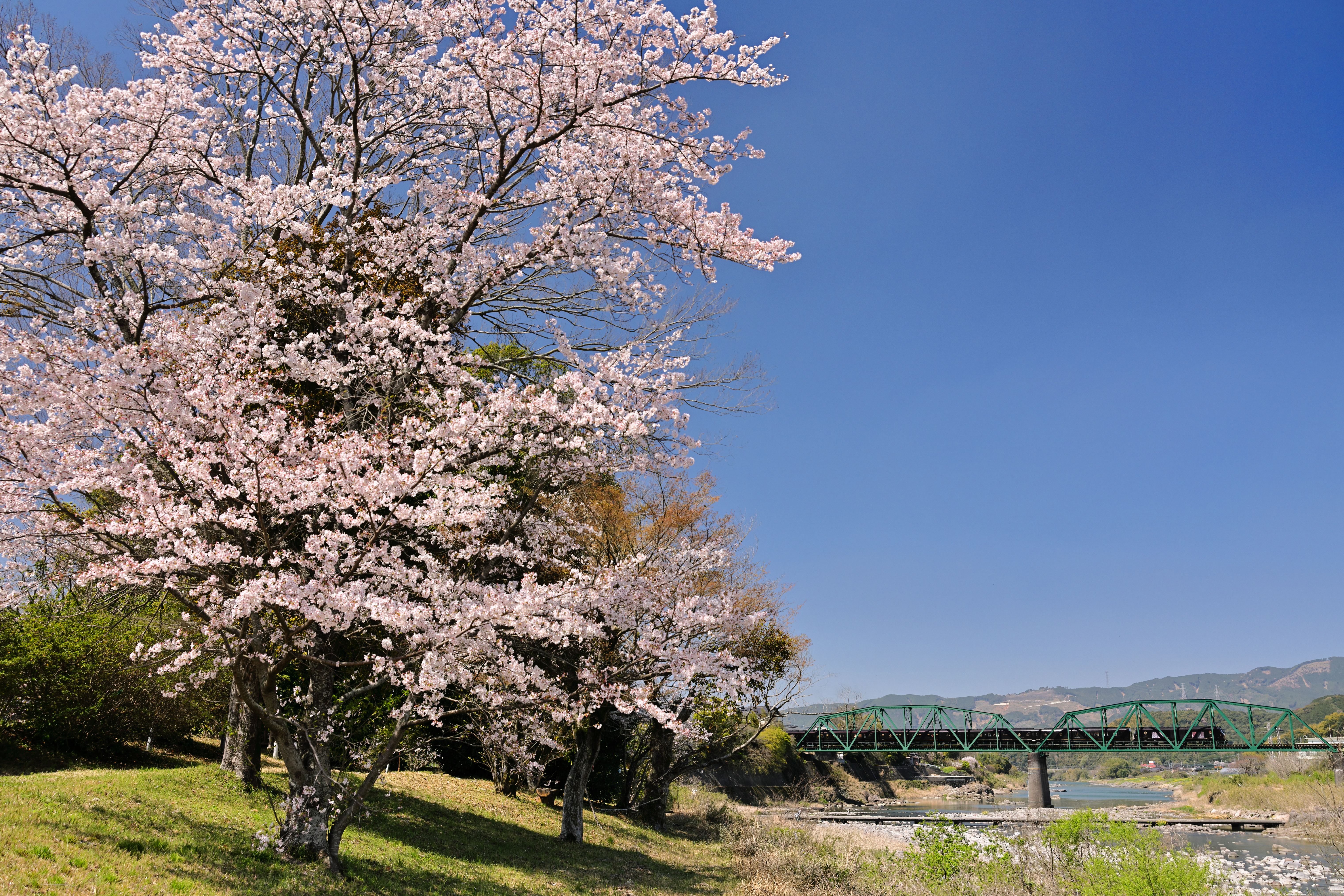 車体の文字とエンブレムがはっきりした。ノイズも消えて格段に見やすくなっている