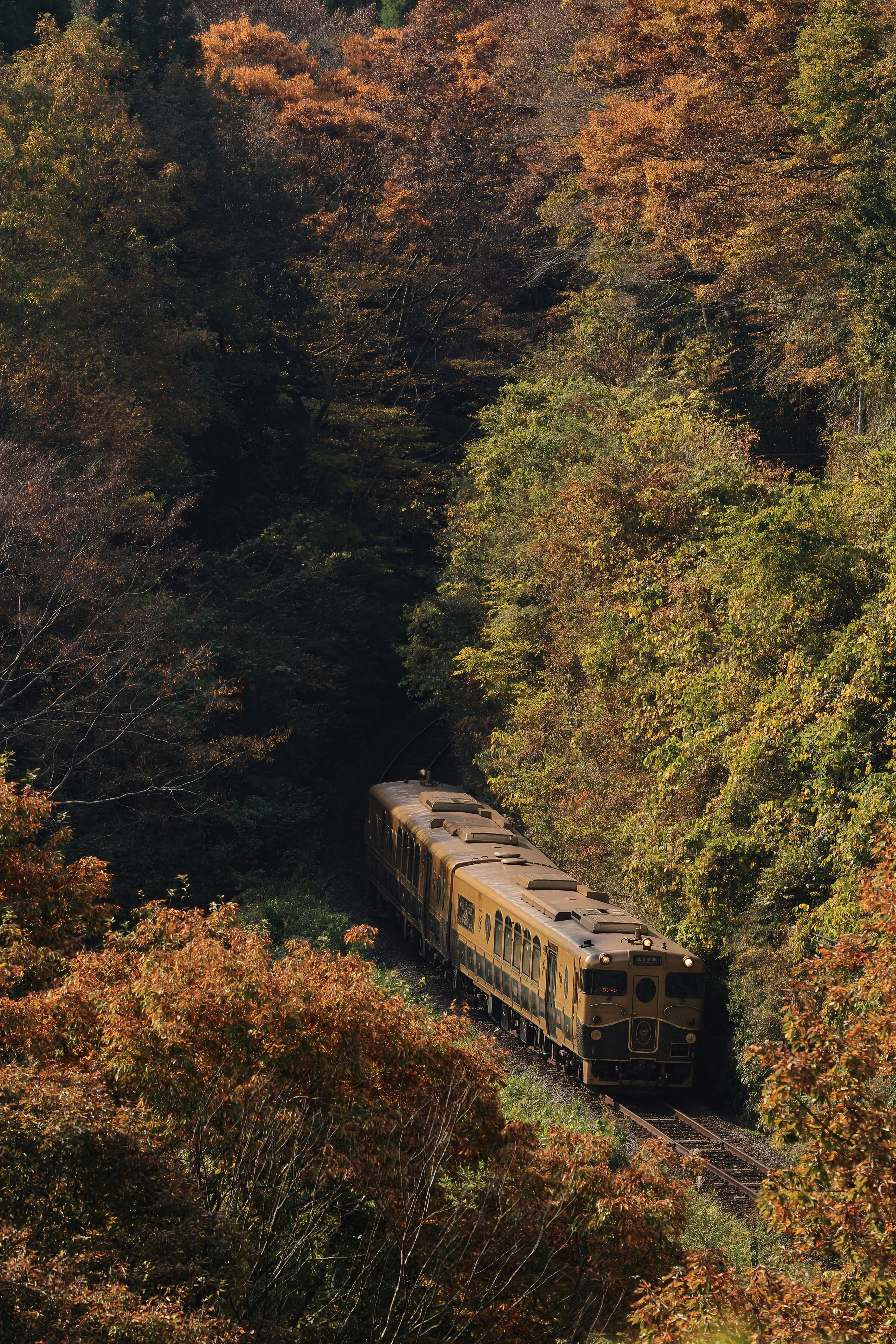 トリミングすると約550万画素になり解像感が足りない印象。Upscaling後はディテールが大幅に向上している